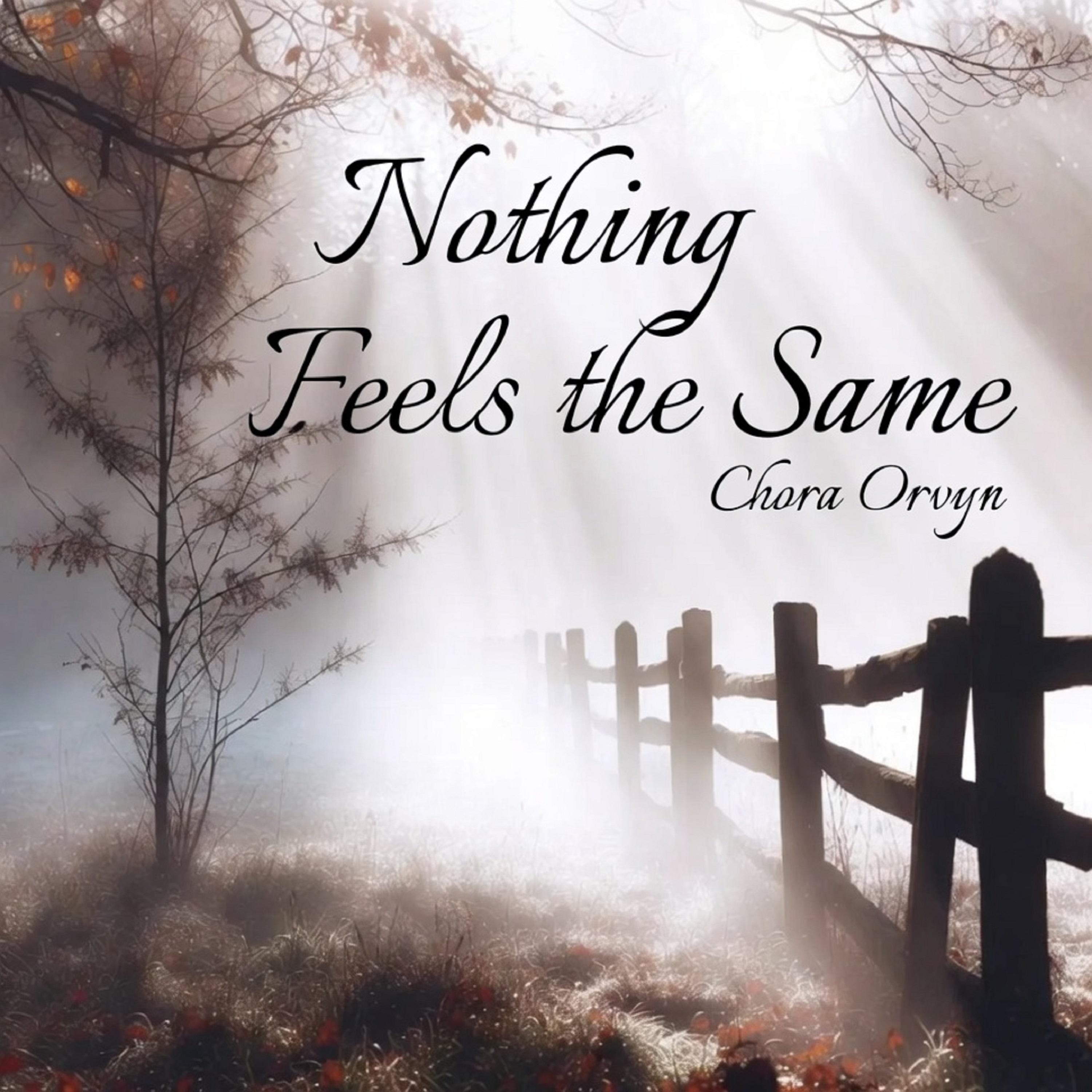 Nothing Feels the Same artwork