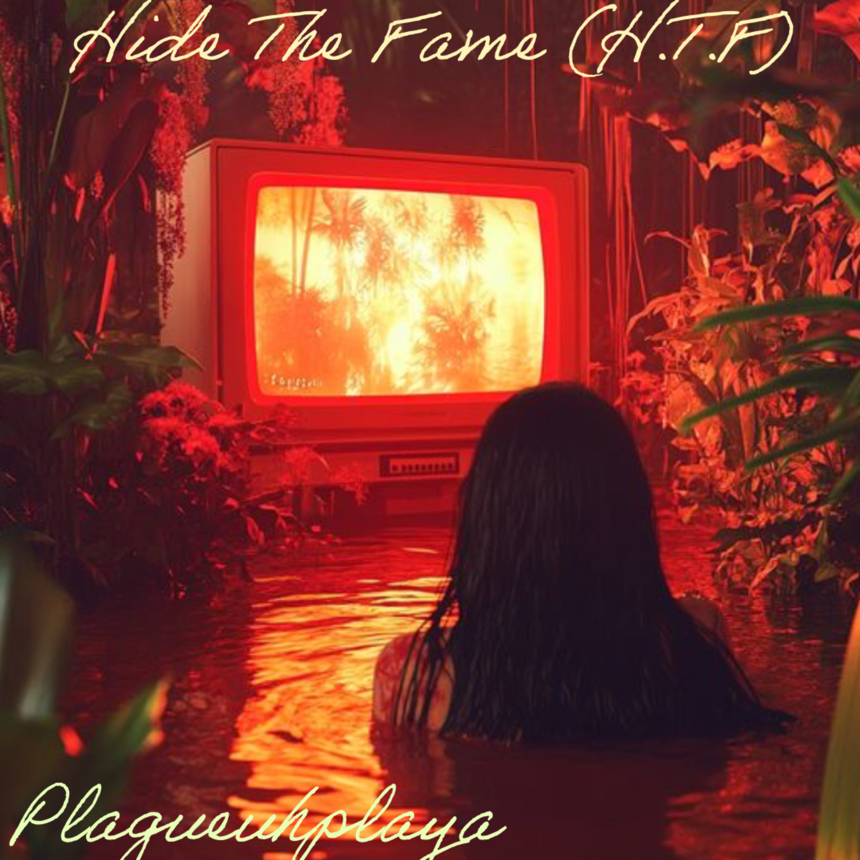Hide The Fame (H.T.F) artwork