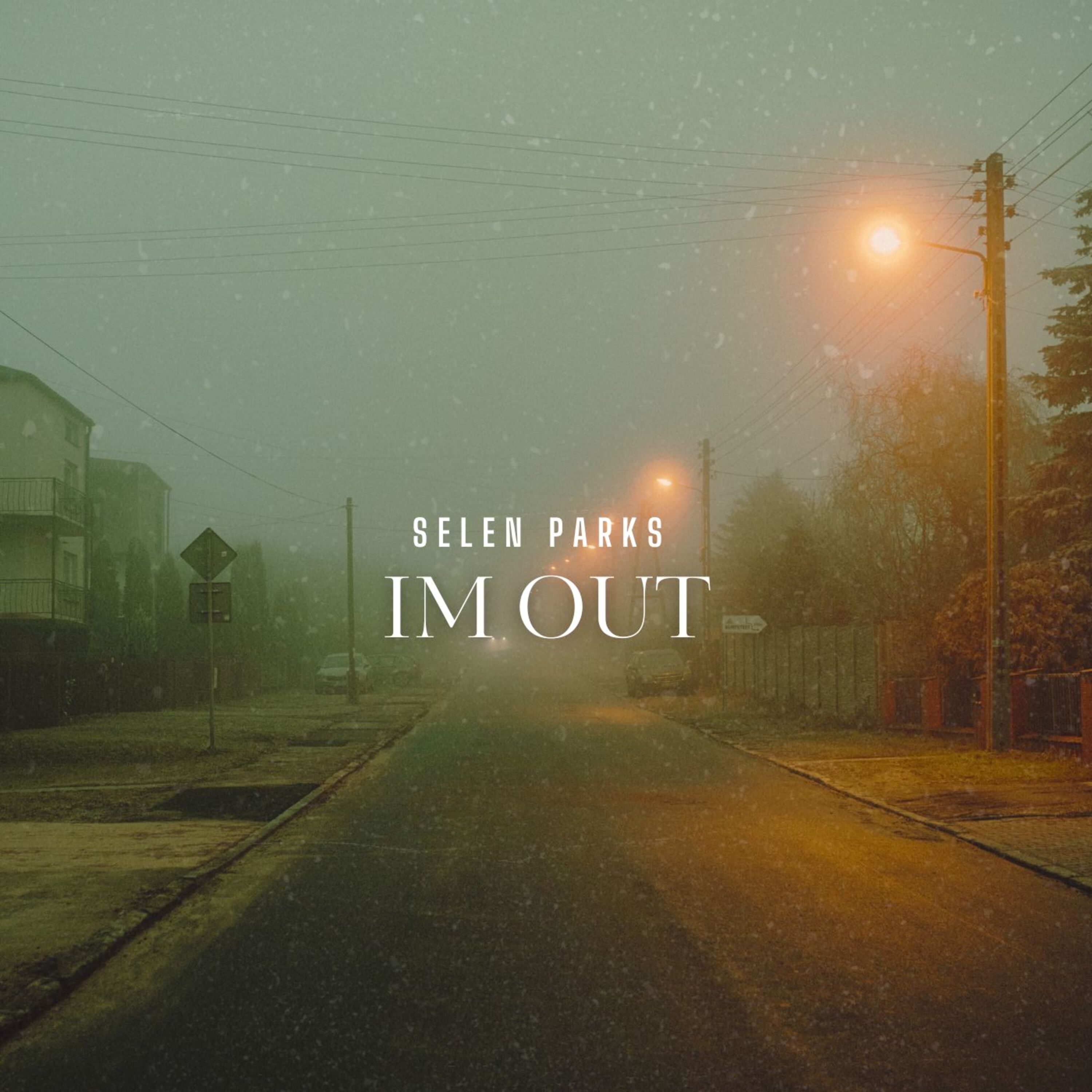 Im Out artwork