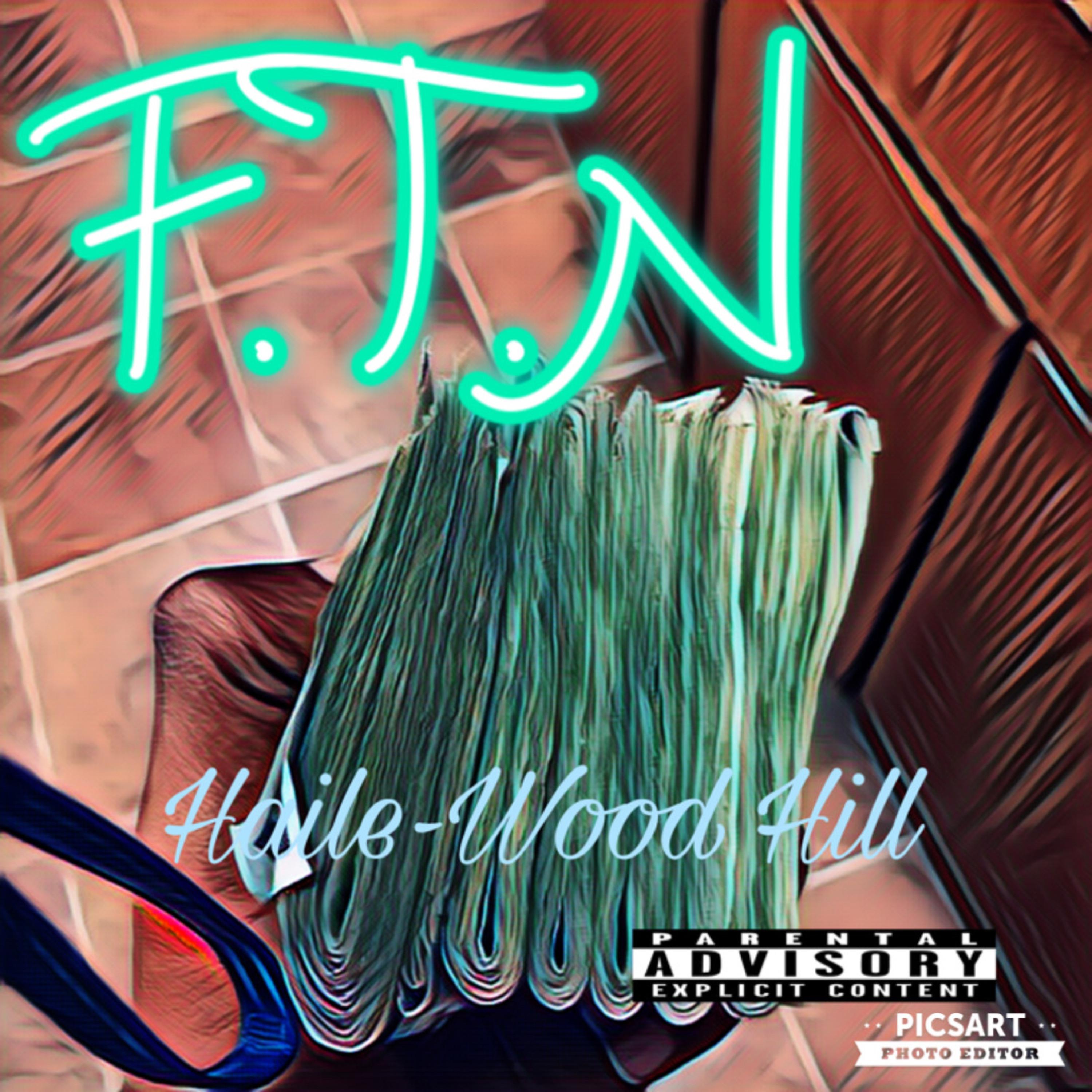 FTN (Fuck That Nigga) by Haile-Wood Hill cover art