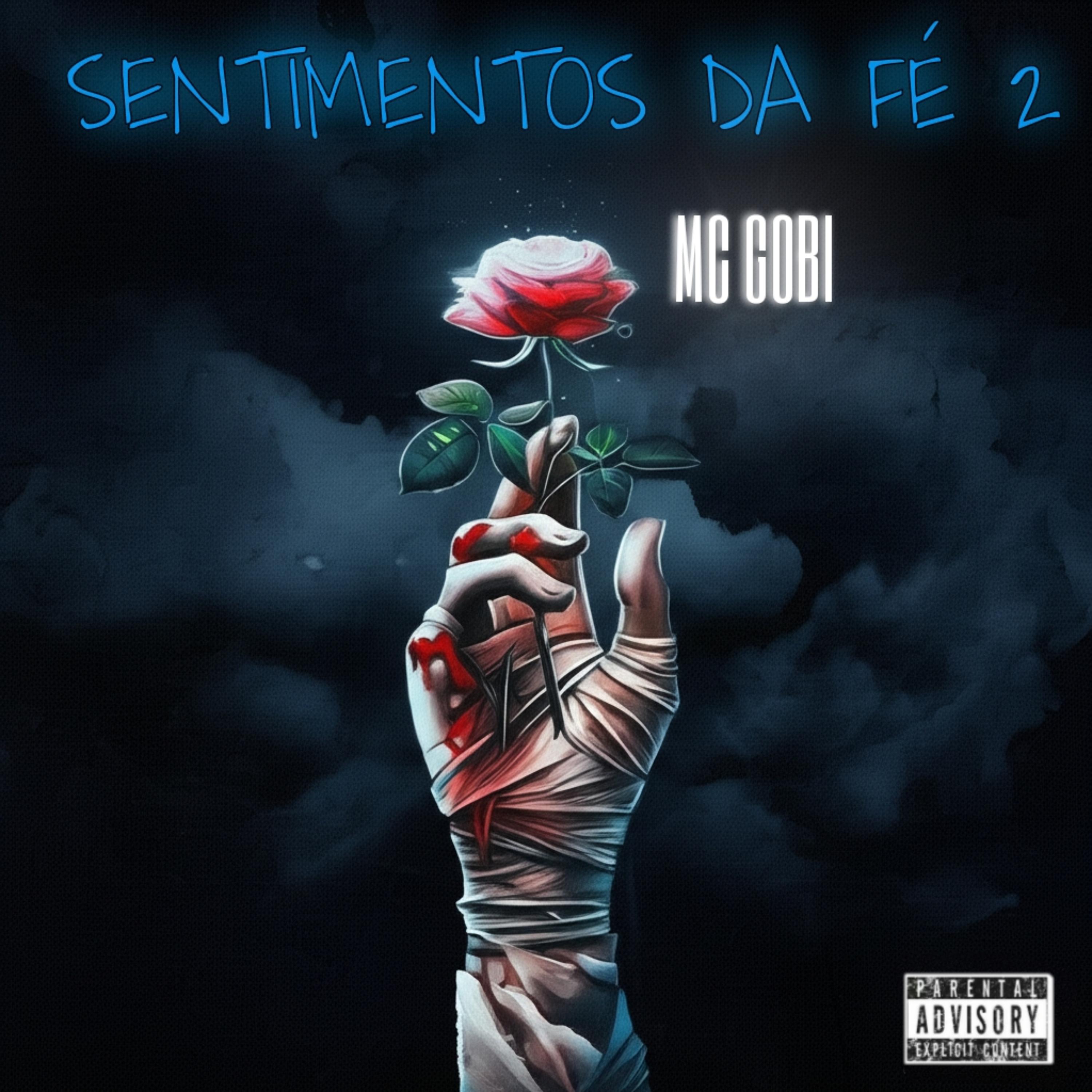 SENTIMENTOS DA FÉ 2 artwork