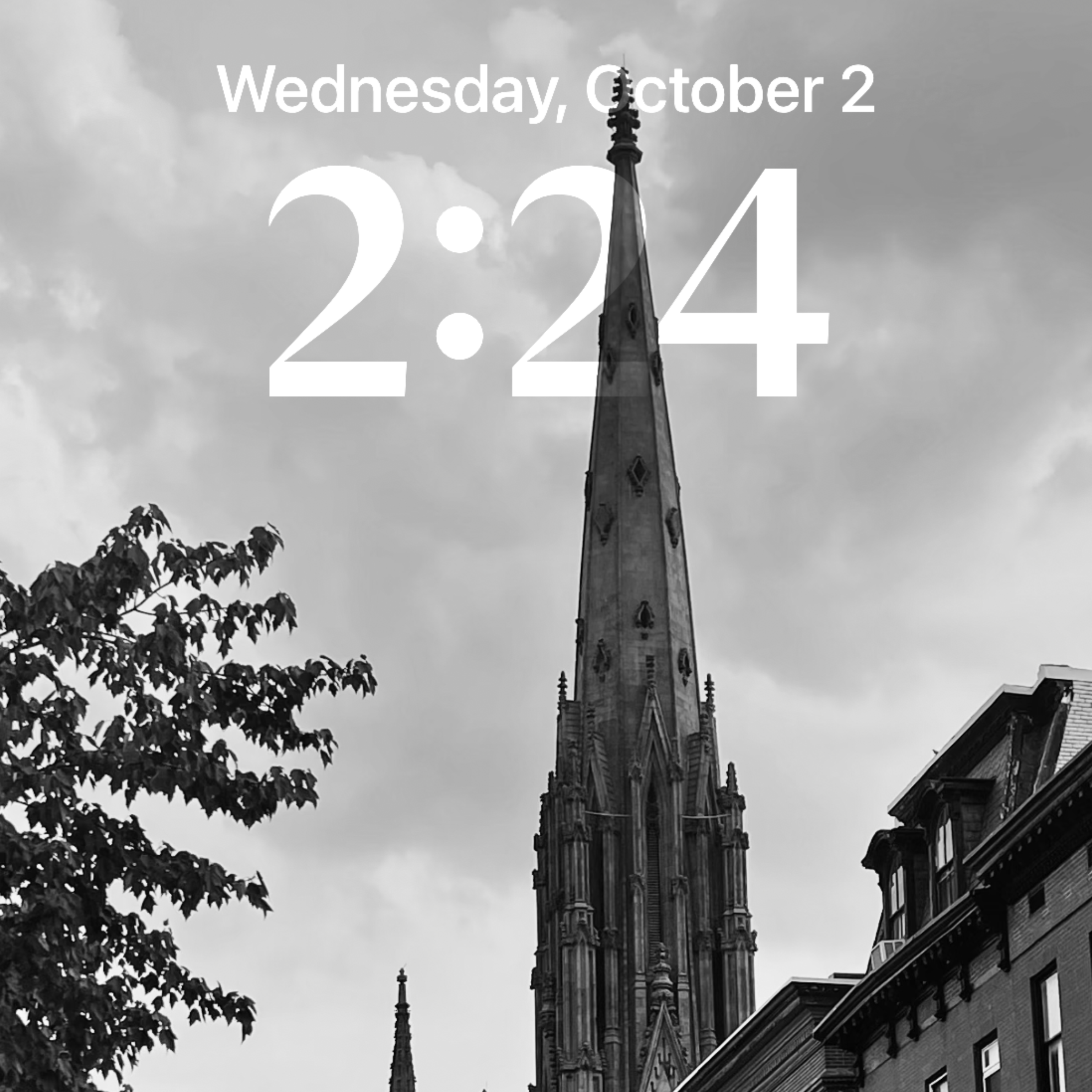 224 artwork