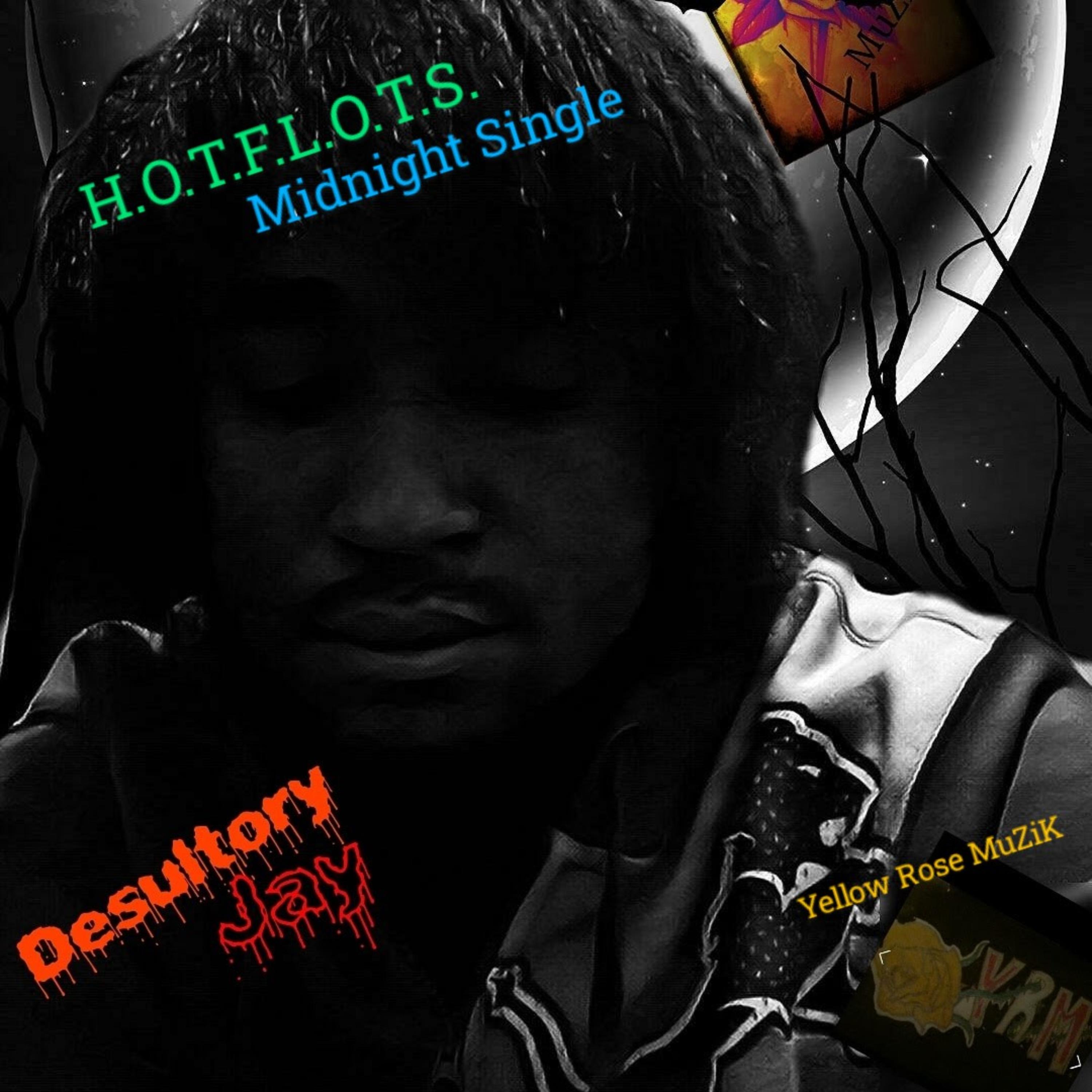 H.O.T.F.L.O.T.S. artwork