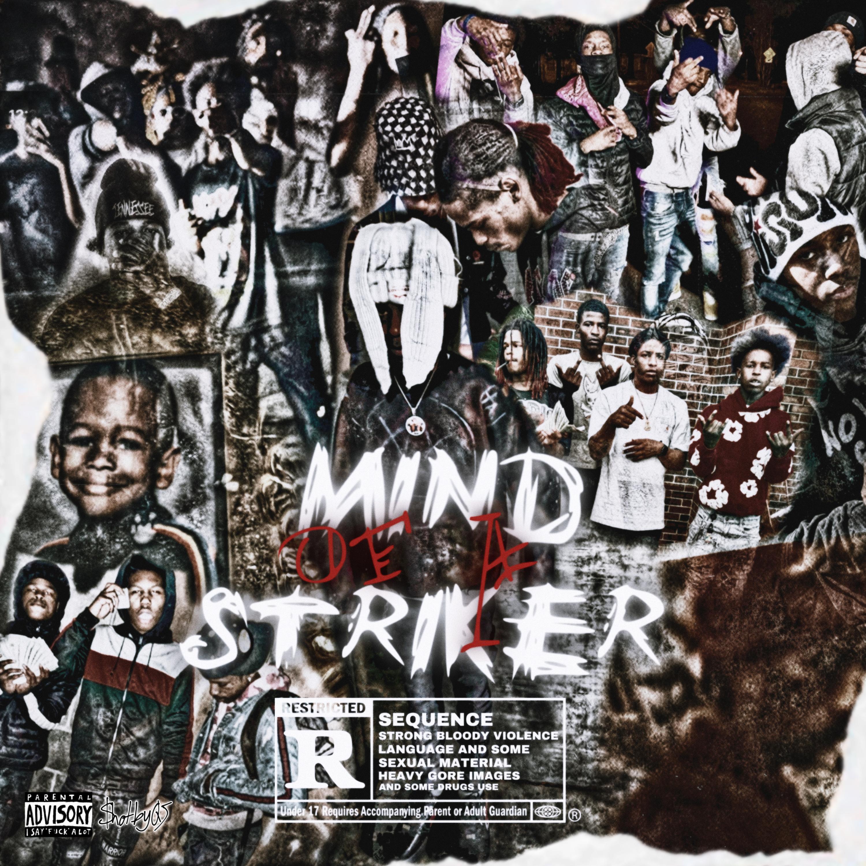 Mind Of A Striker artwork