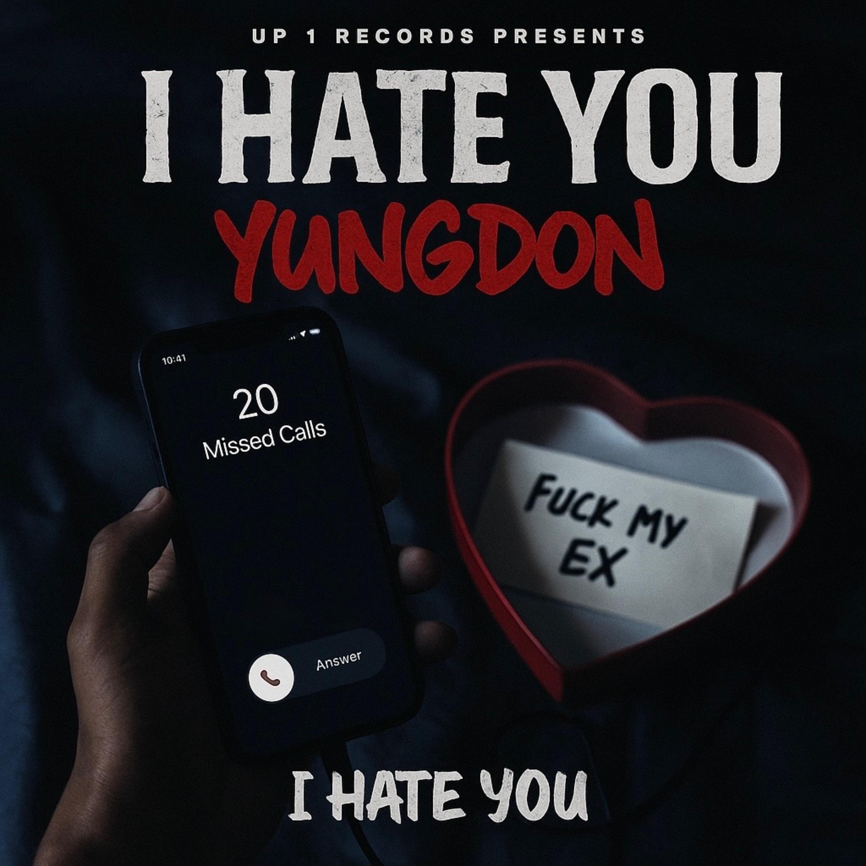 I Hate You artwork