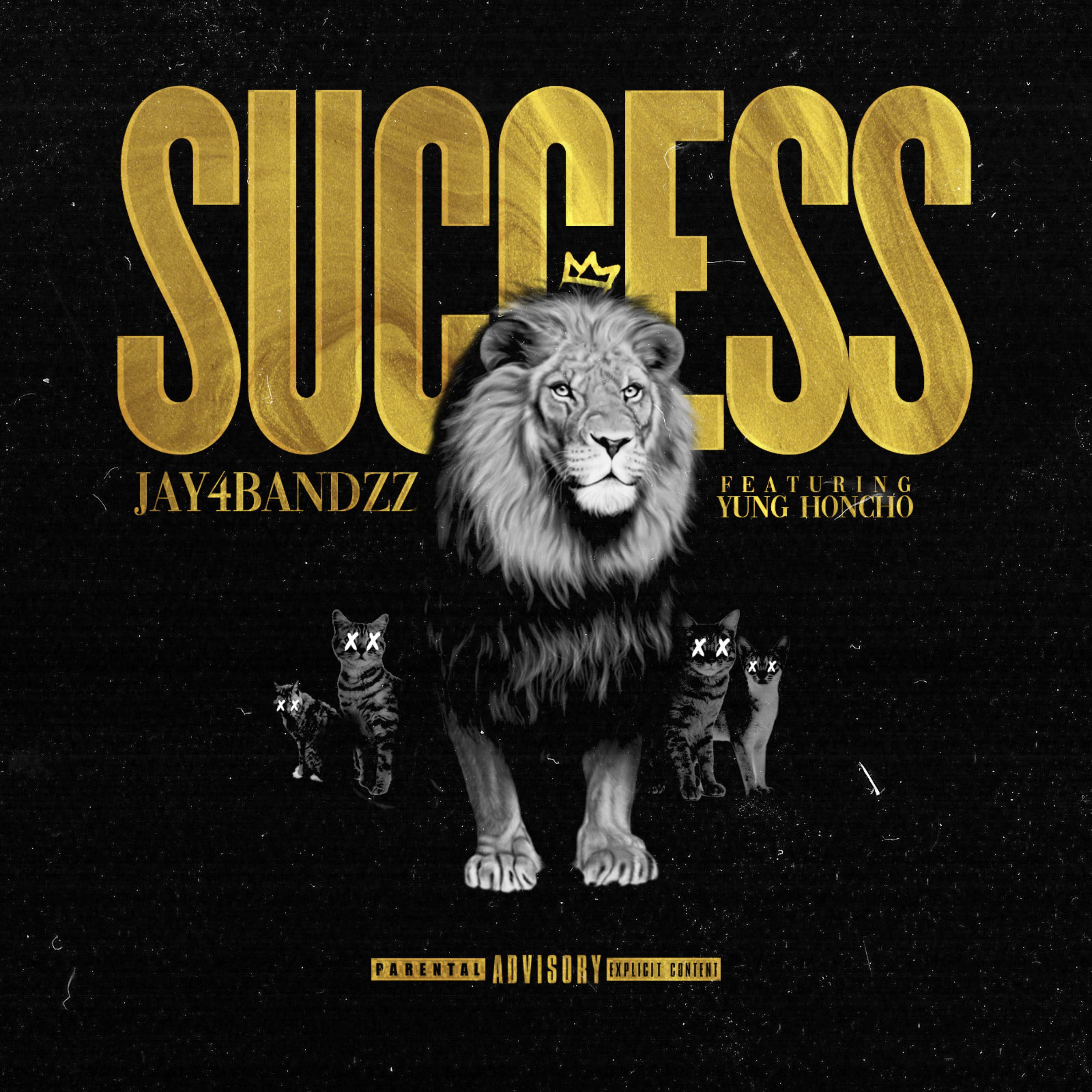 Success artwork