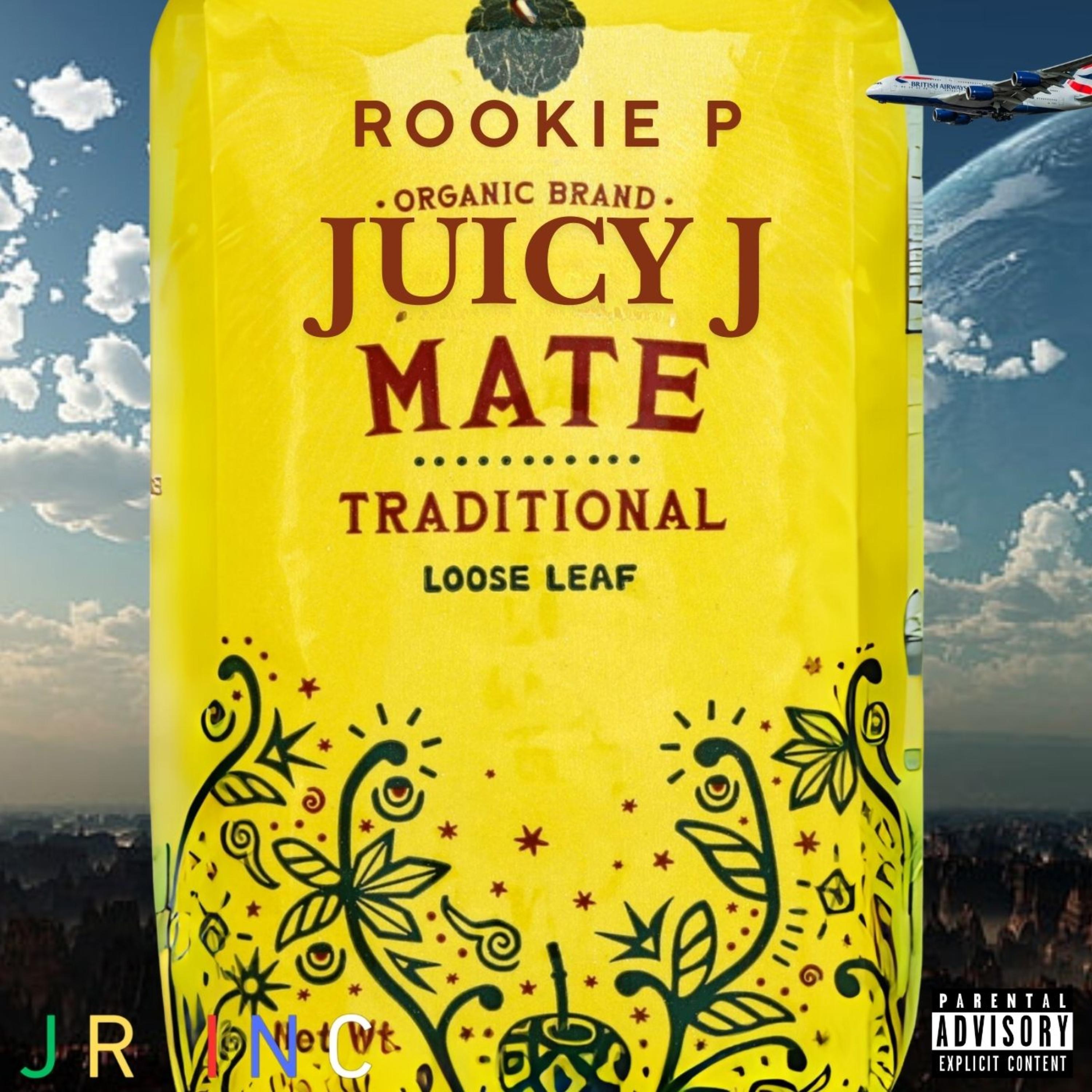 Mate artwork