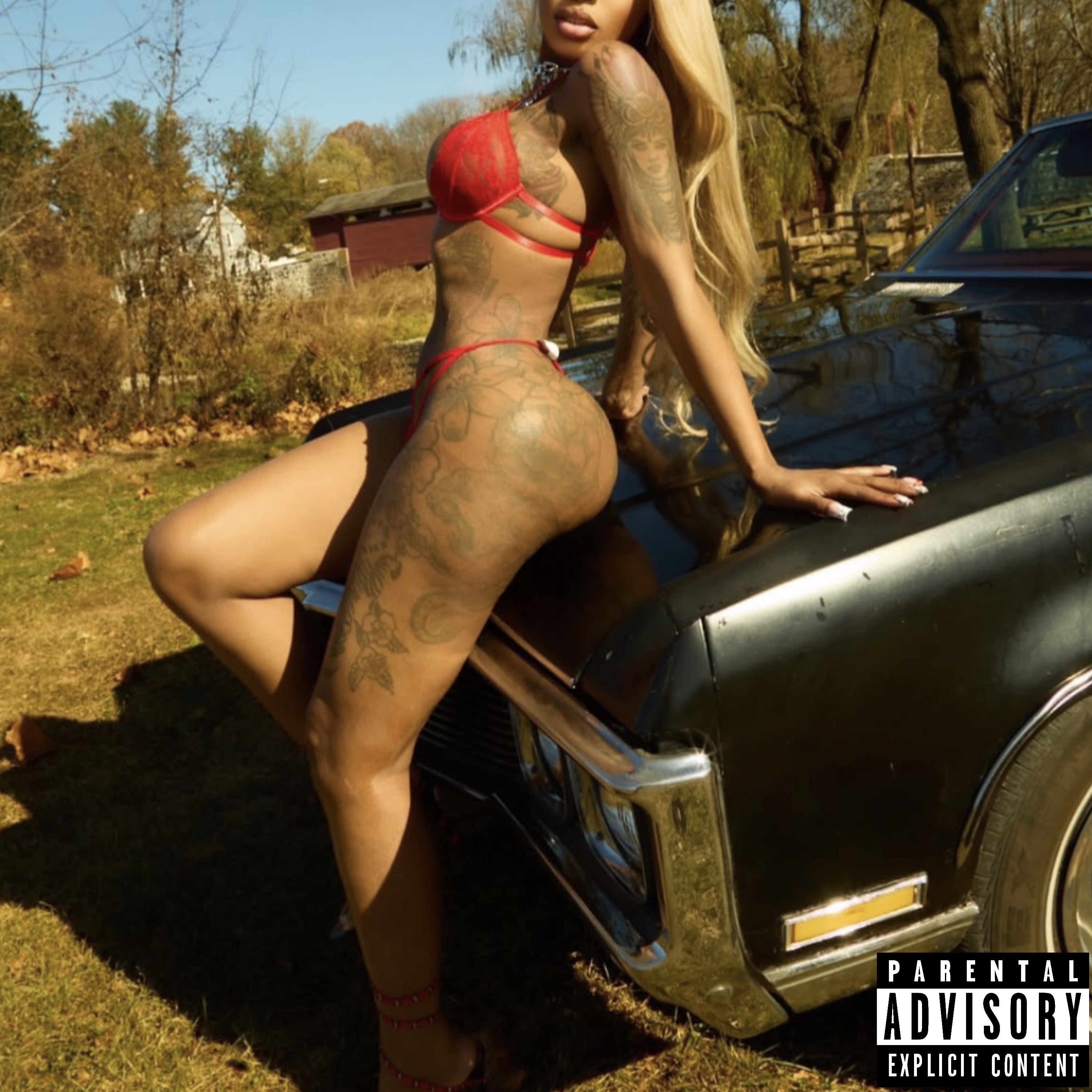 SWIM OR SINK artwork