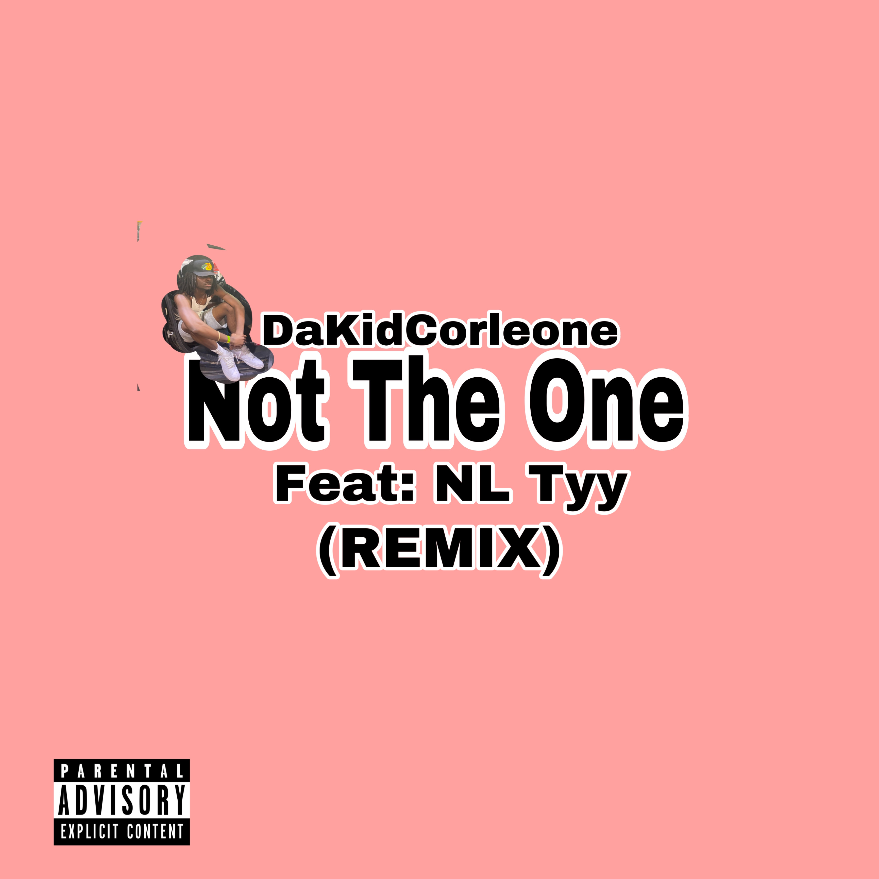Not The One (Remix) artwork