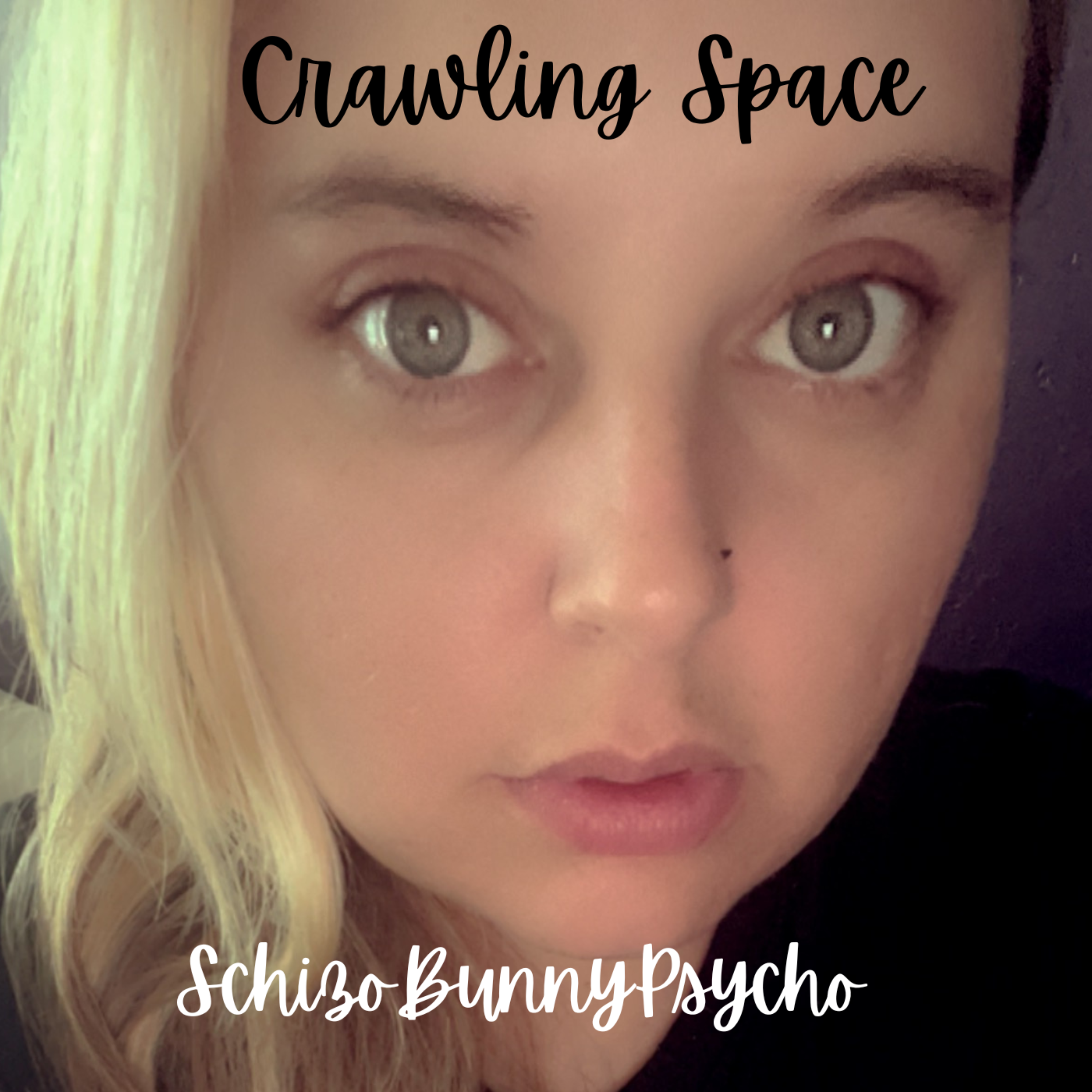 Crawling Space artwork