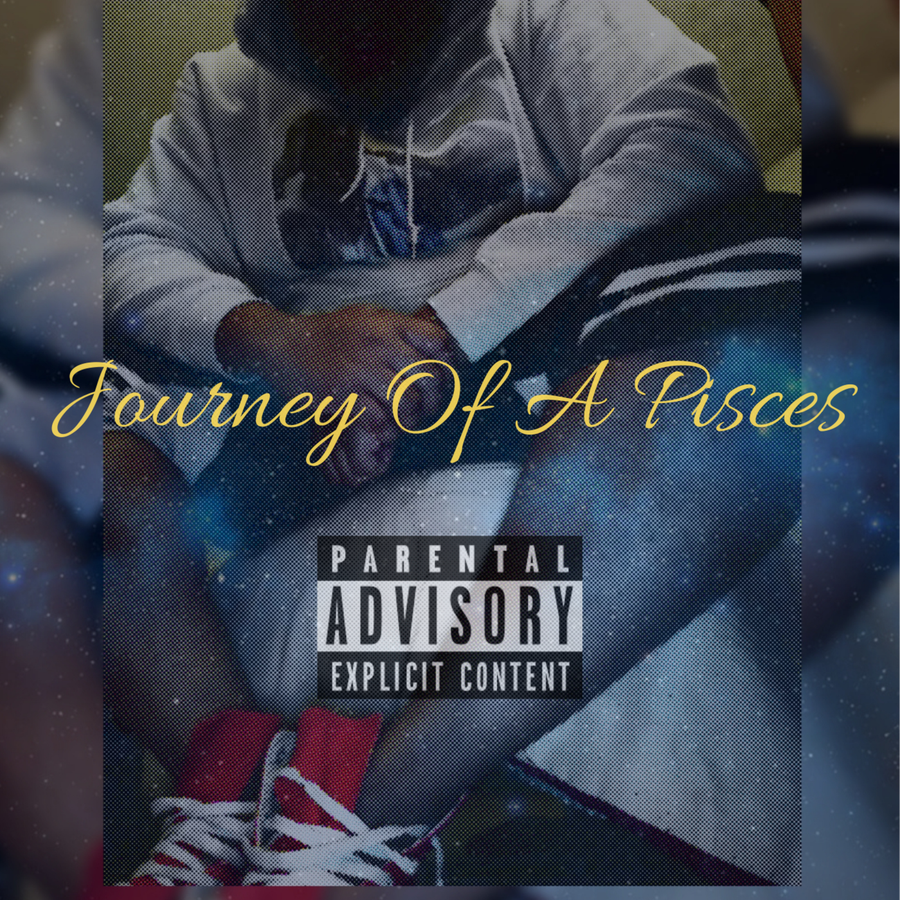 Journey Of A Pisces artwork