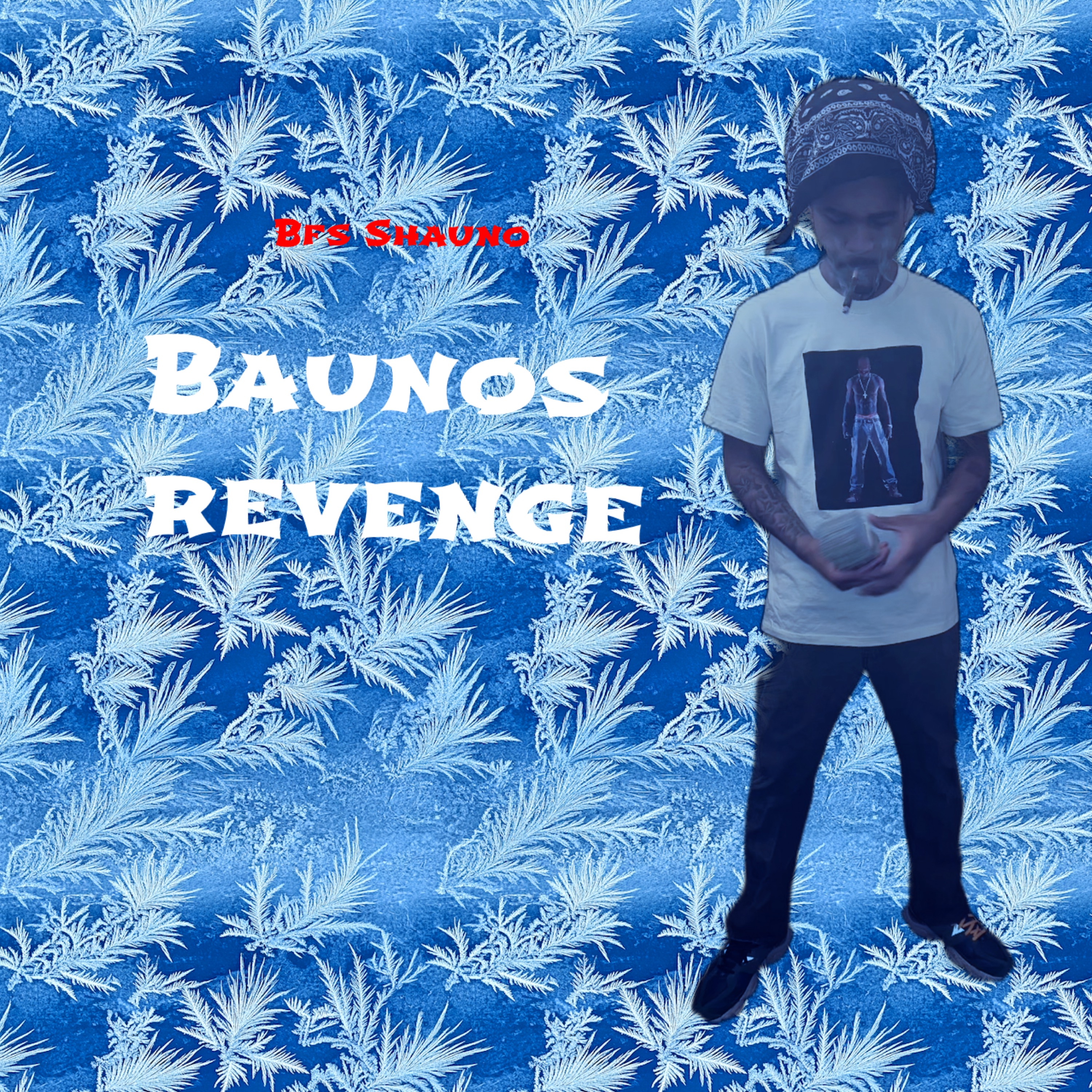 Bauno Revenge artwork