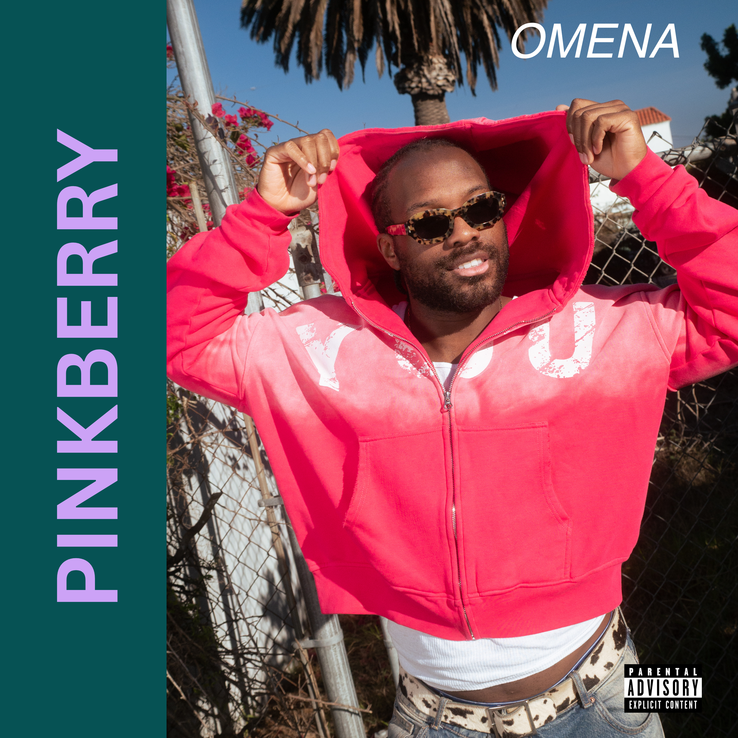 pinkberry artwork