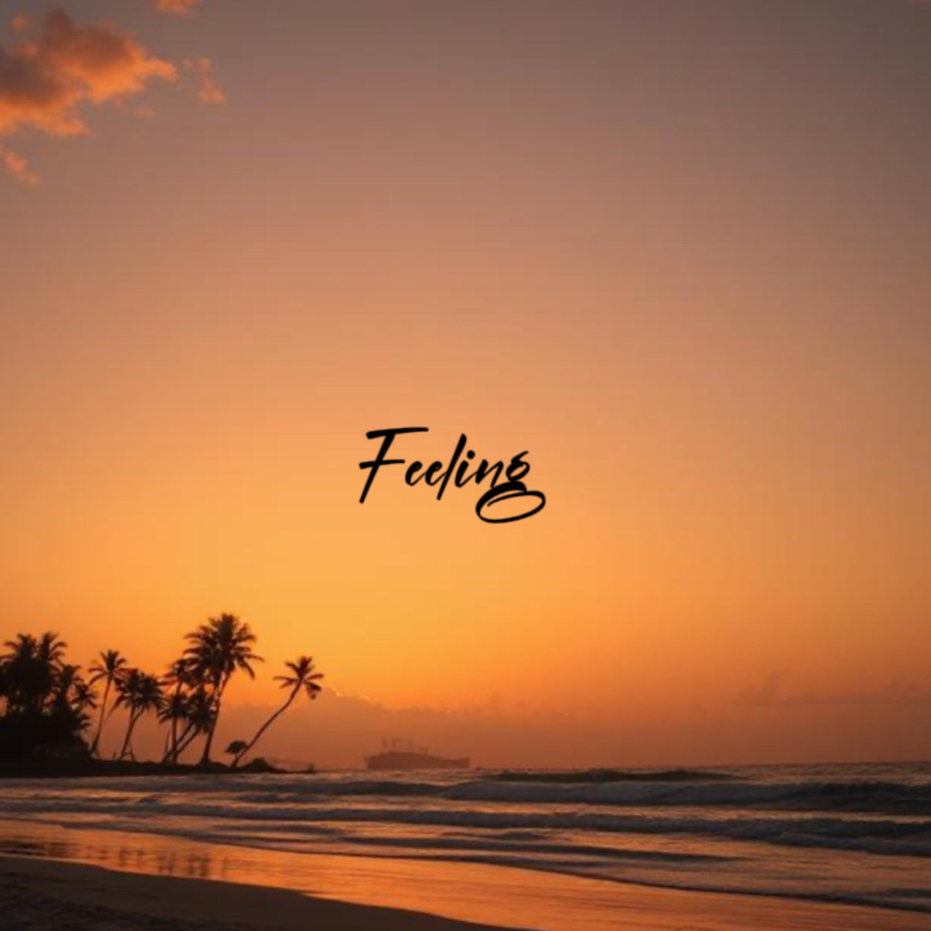 Feeling by MONEYA$H cover art