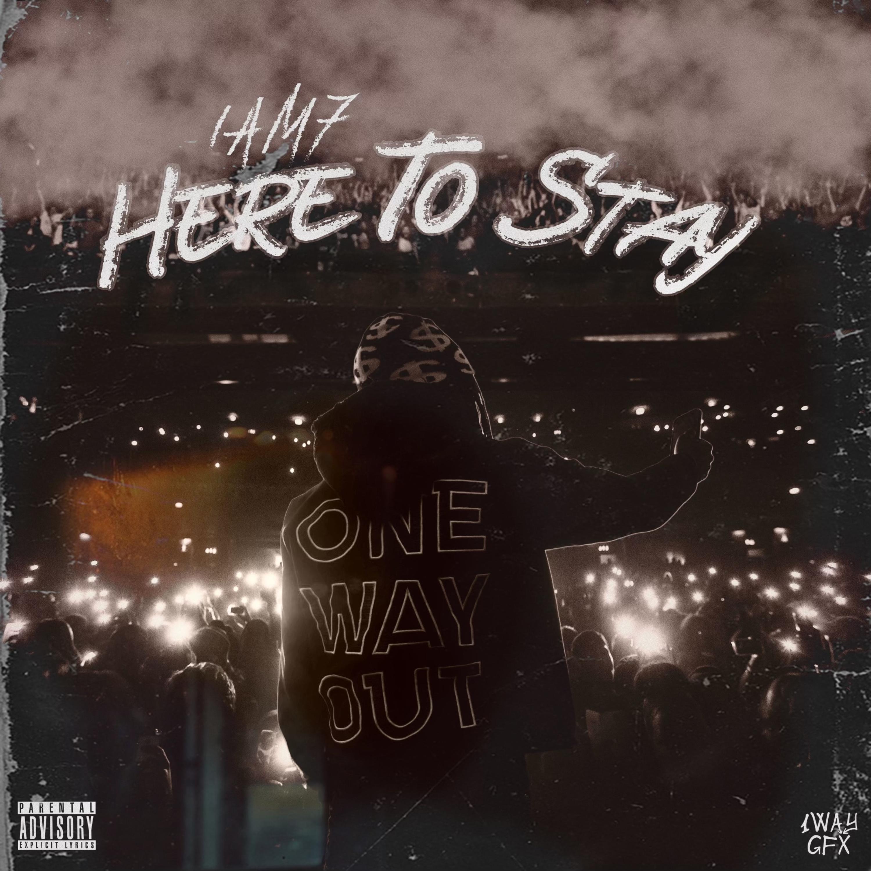 Here To Stay: Vol 1 artwork