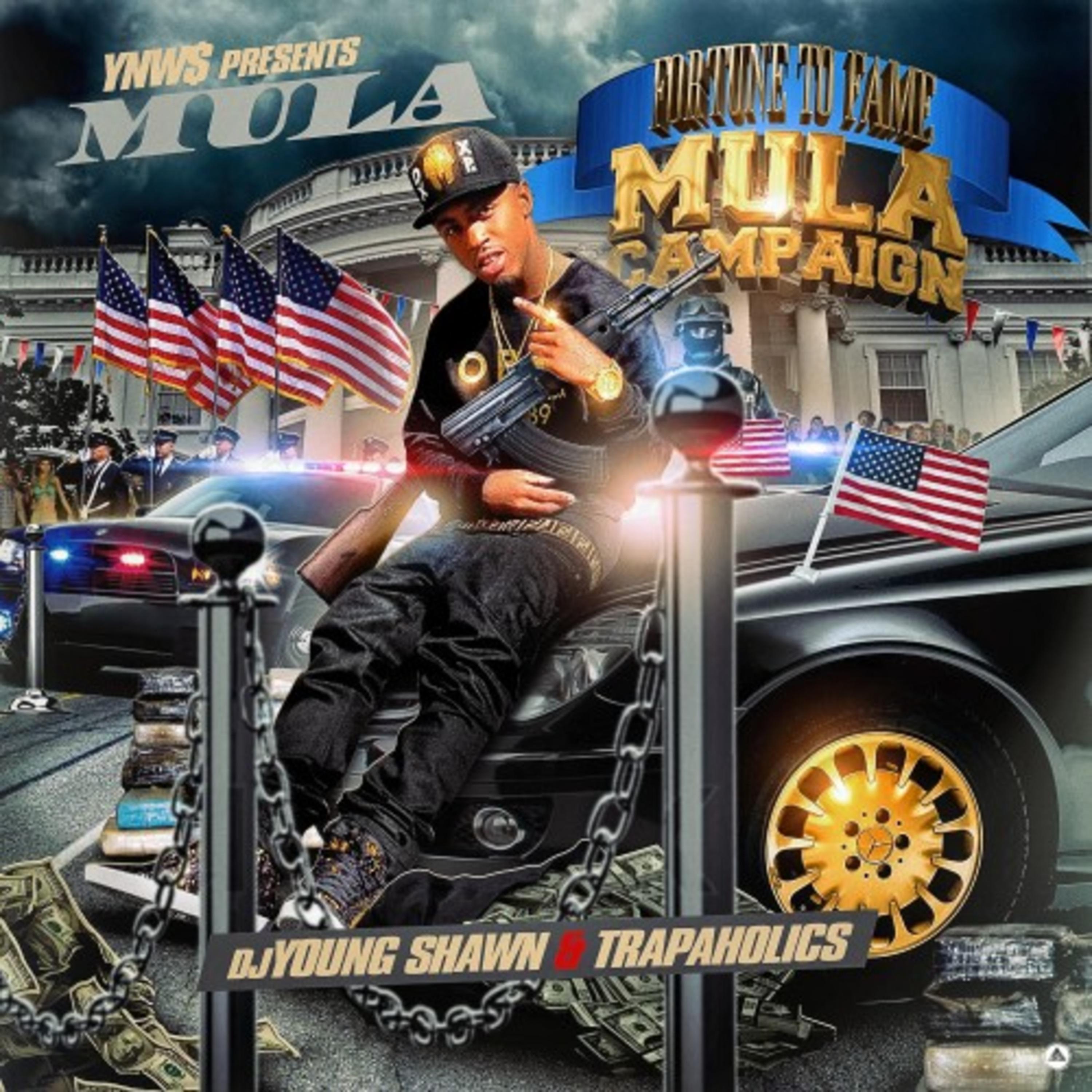 Mula Campaign artwork