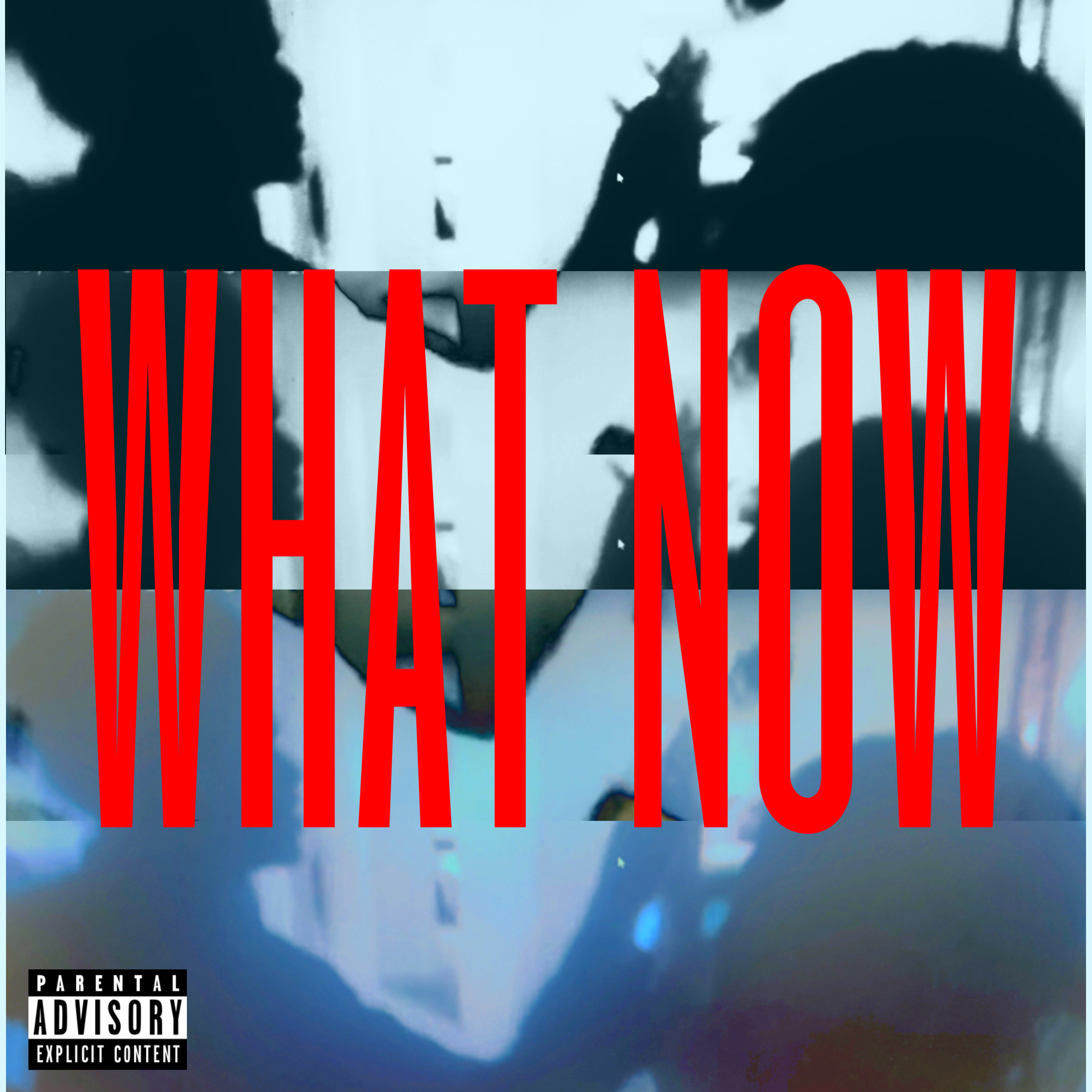 WHAT NOW? artwork