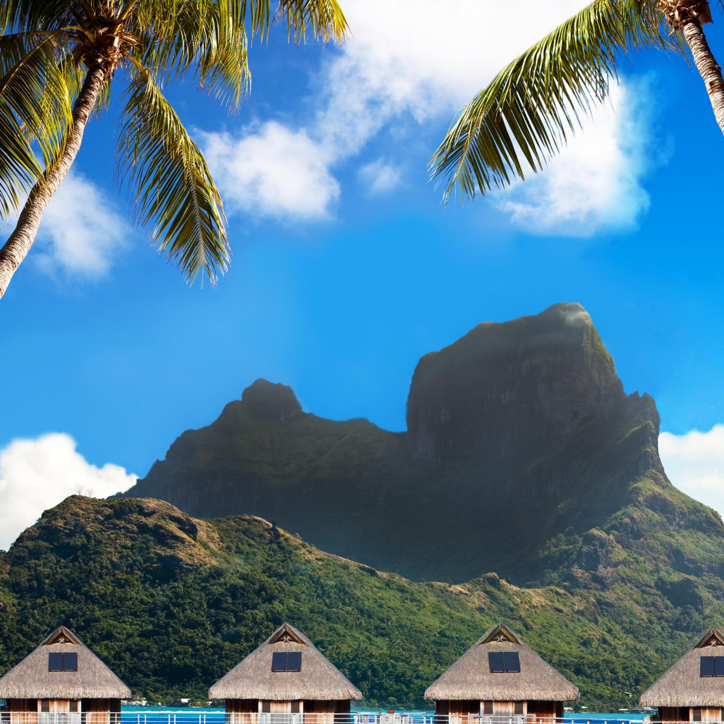 See The New Technolgy artwork