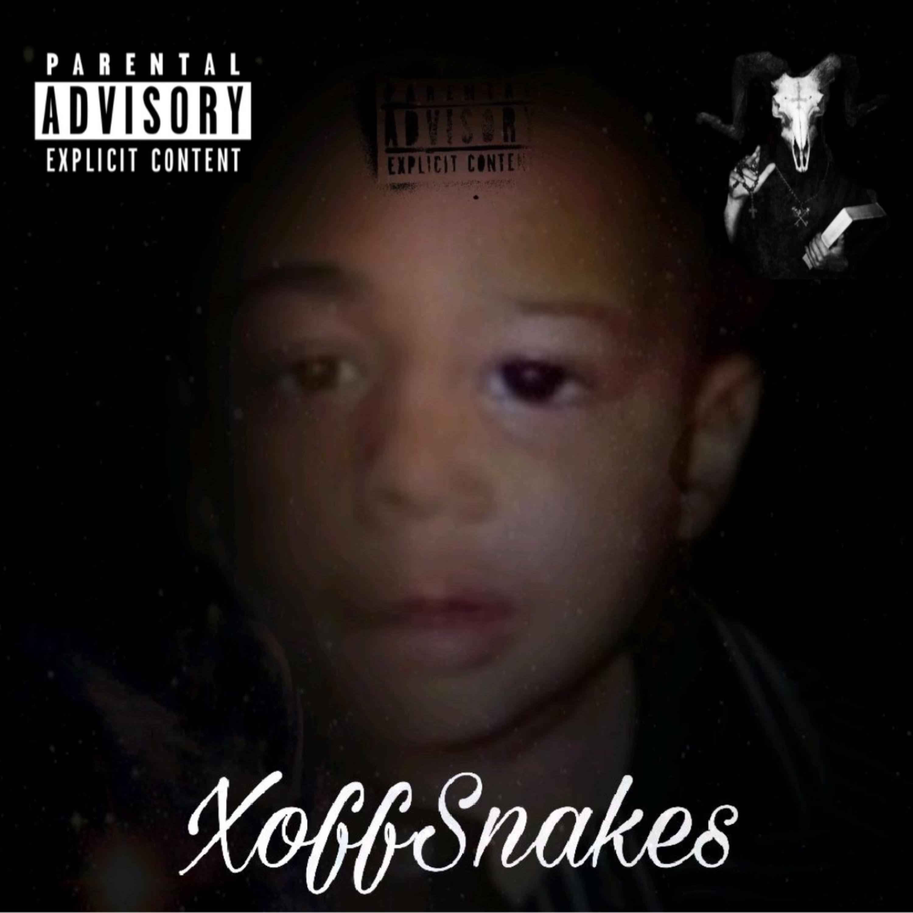 XoffSnakes artwork