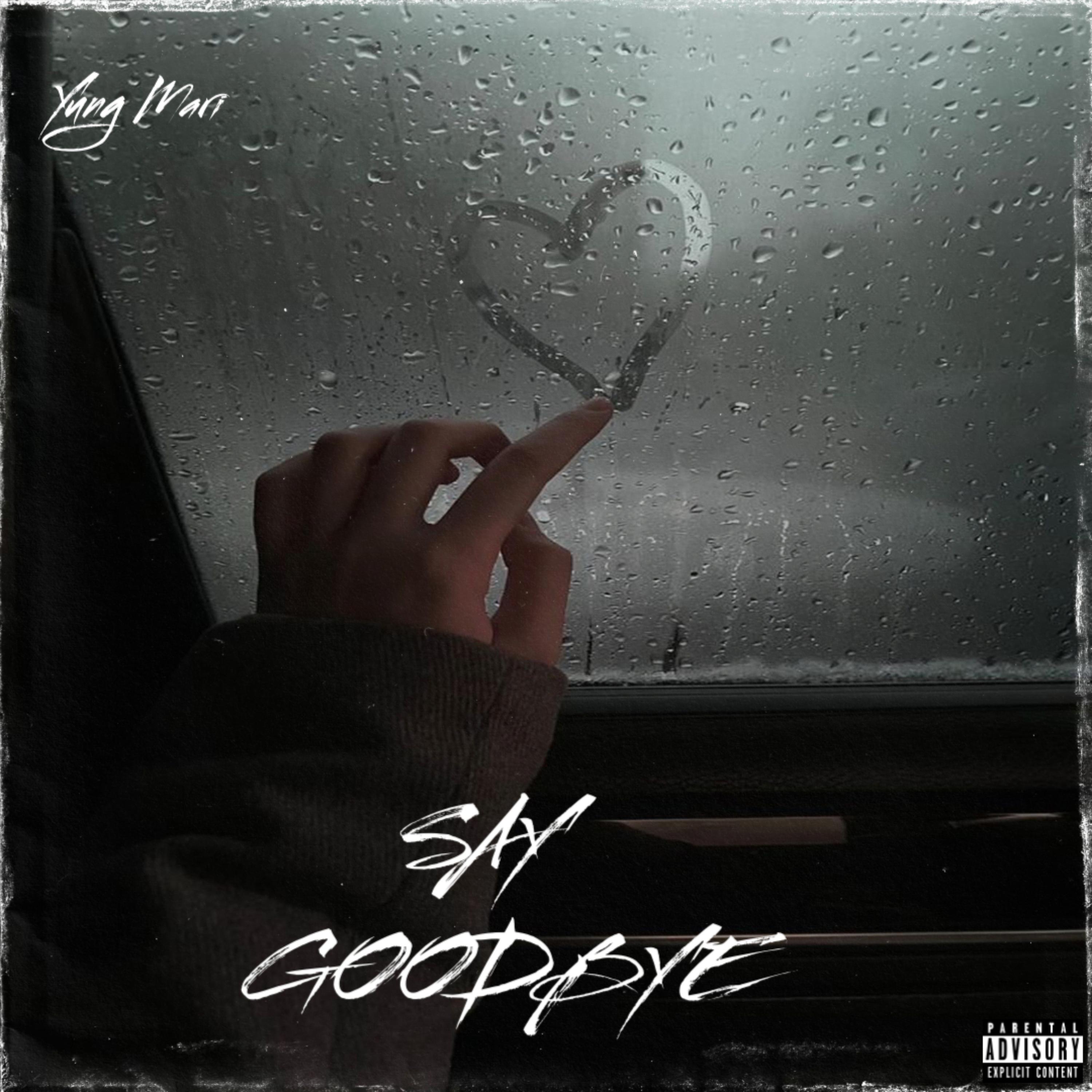 NVR SAY GOODBYE artwork