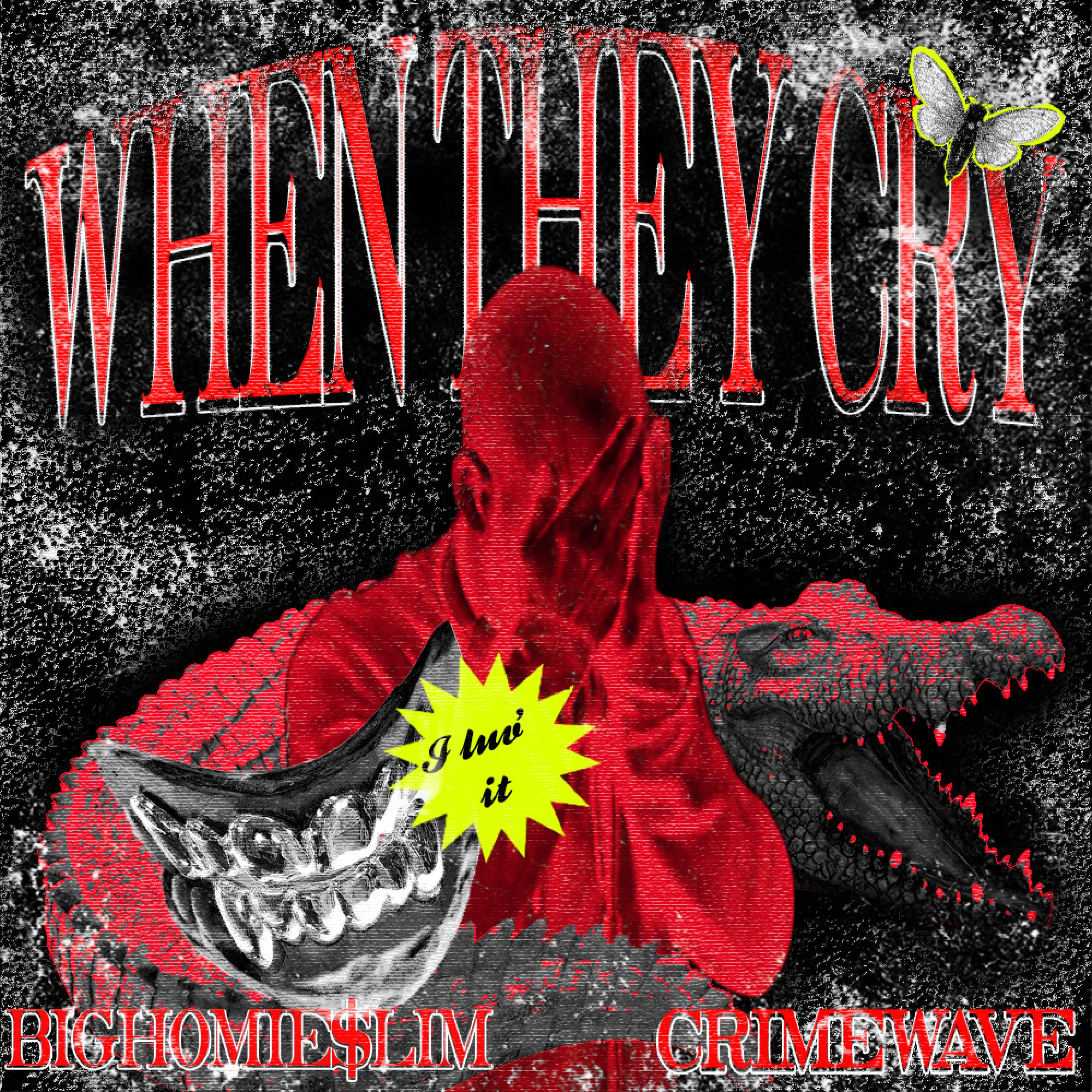 WHEN THEY CRY artwork