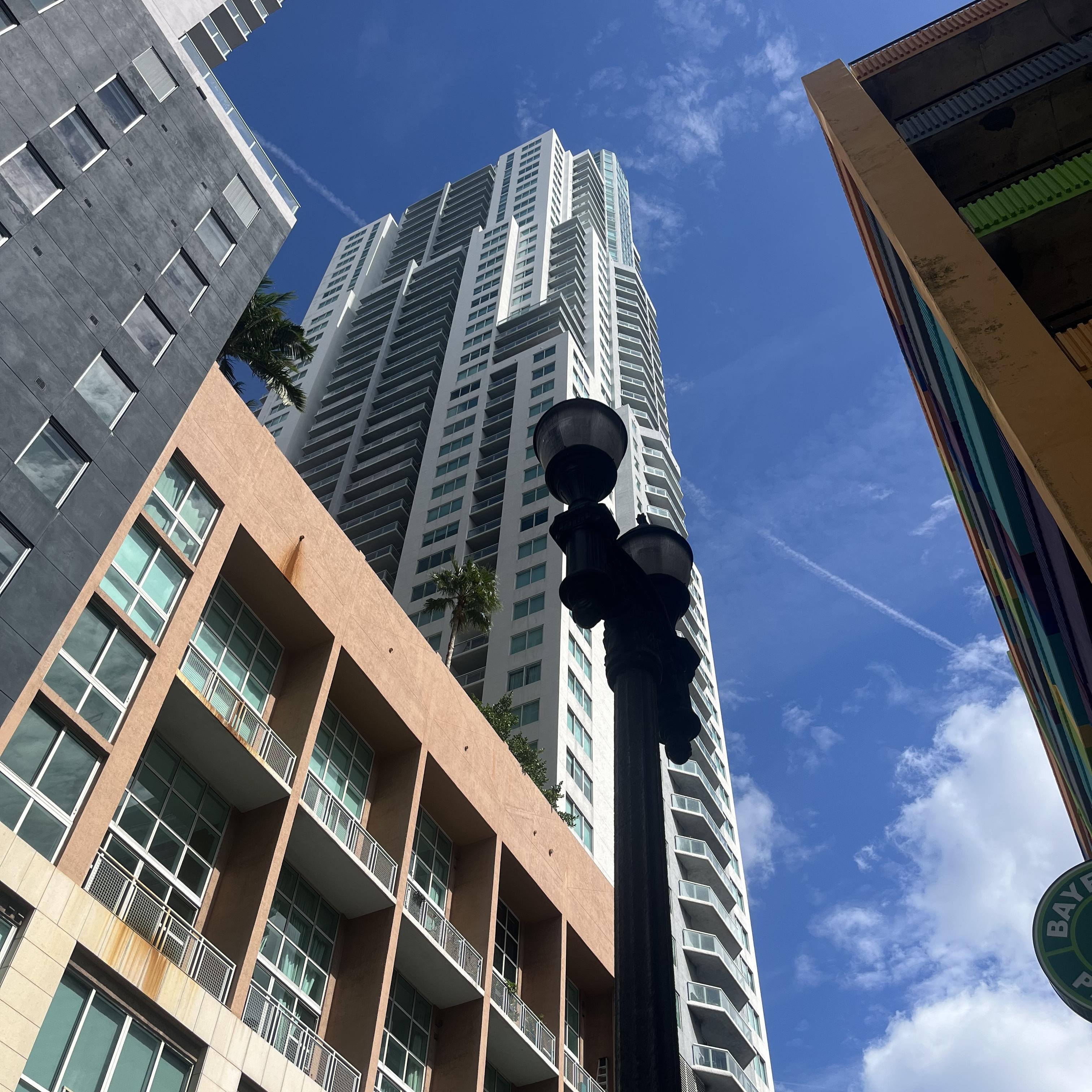 What’s Wrong? artwork