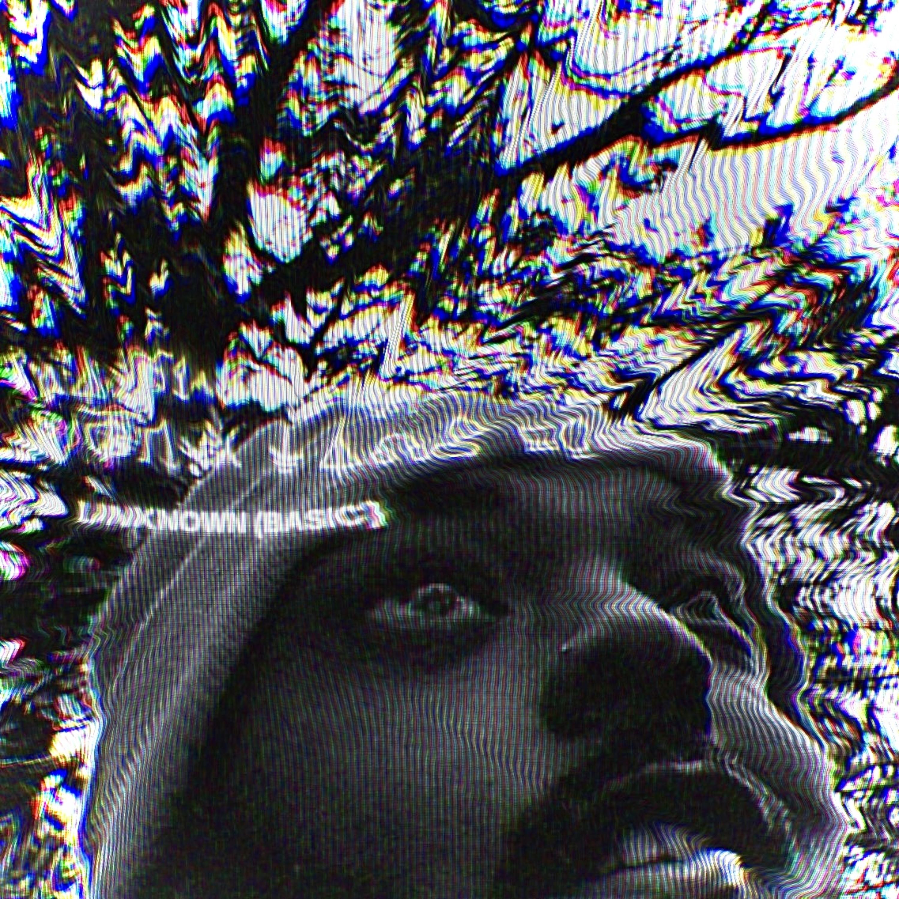 UNKNOWN (BASIC) by MATTHEW WILEY cover art