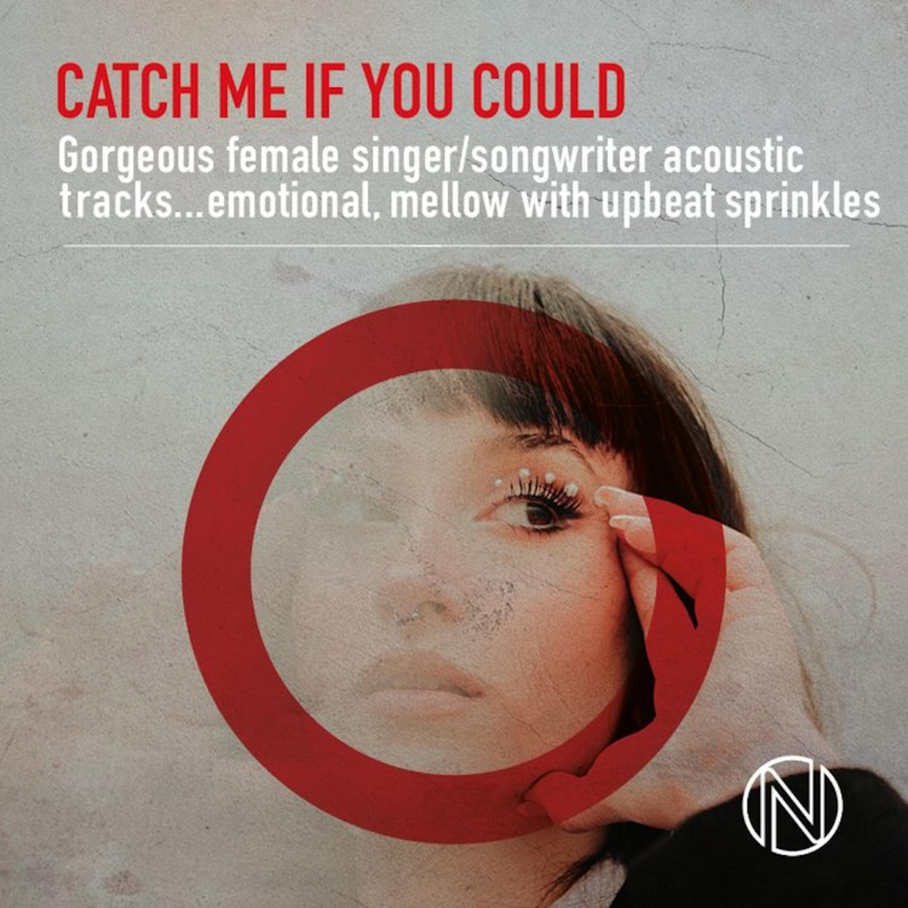 Catch Me If You Could artwork