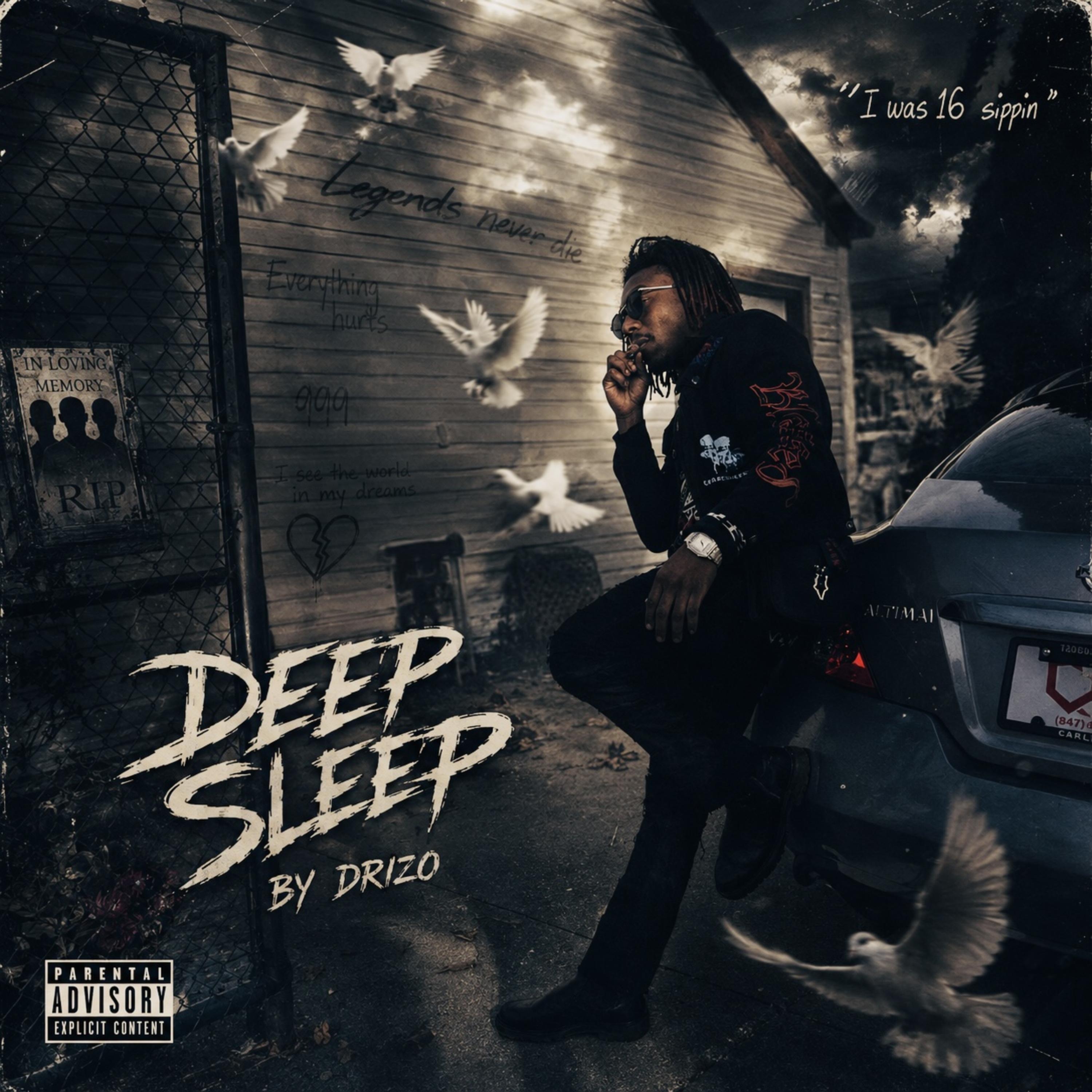 Deep Sleep by Drizo cover art