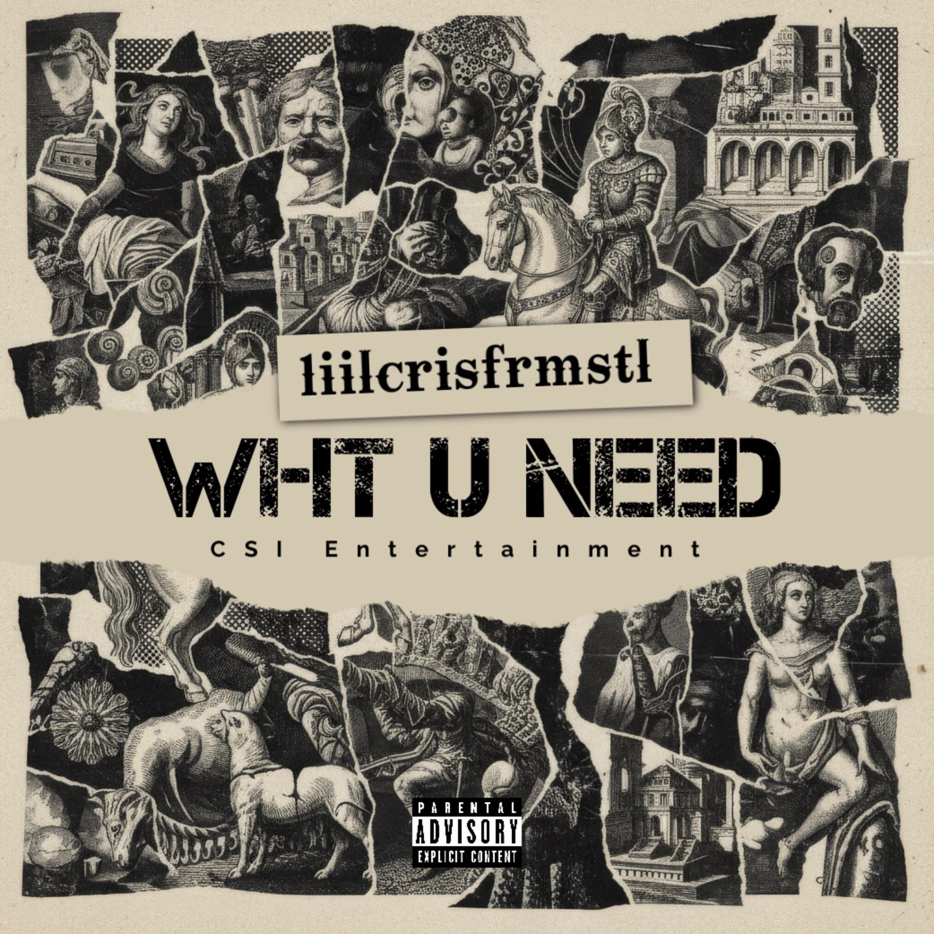 Wht U Need by 1iilcrisfrmstl cover art