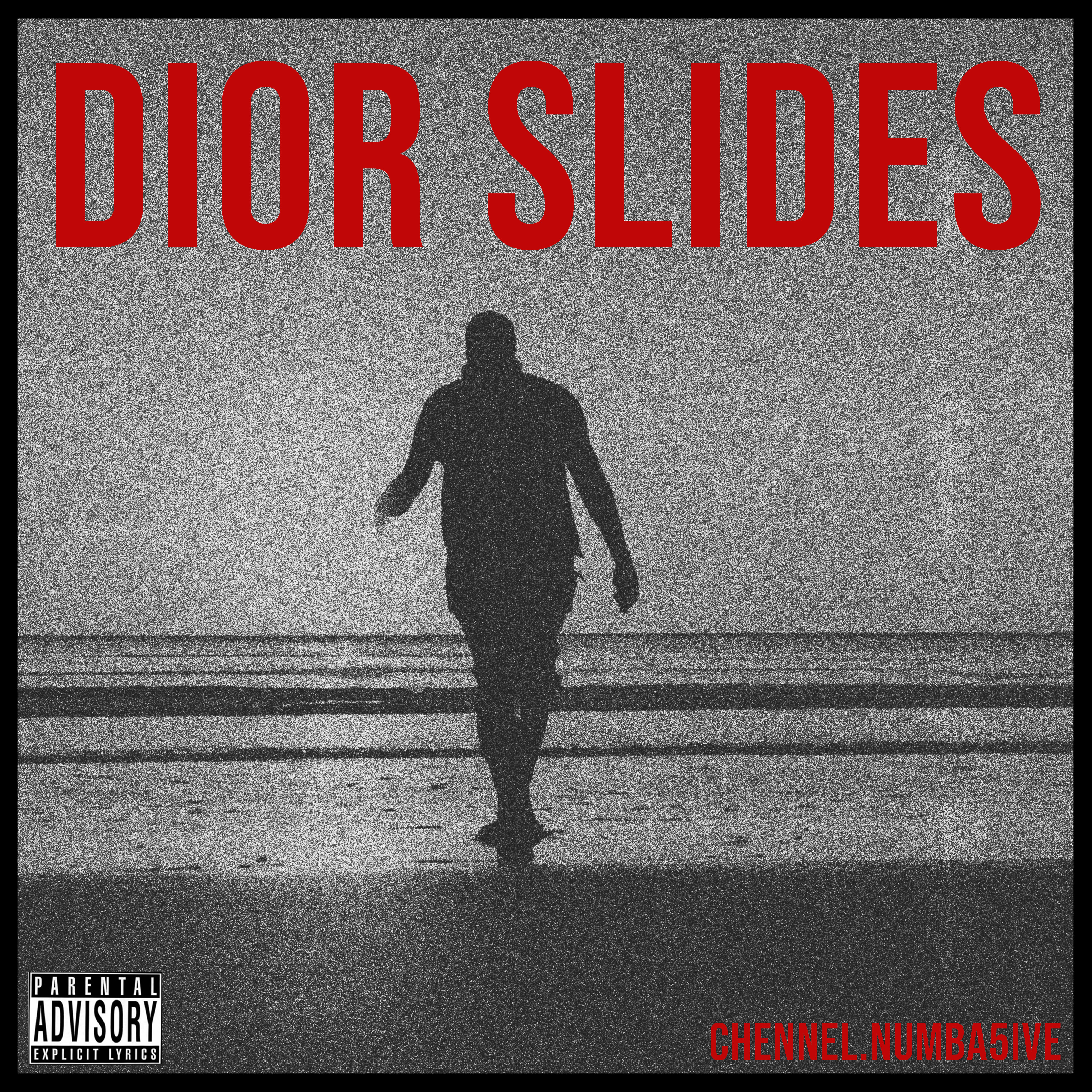 Dior Slides artwork
