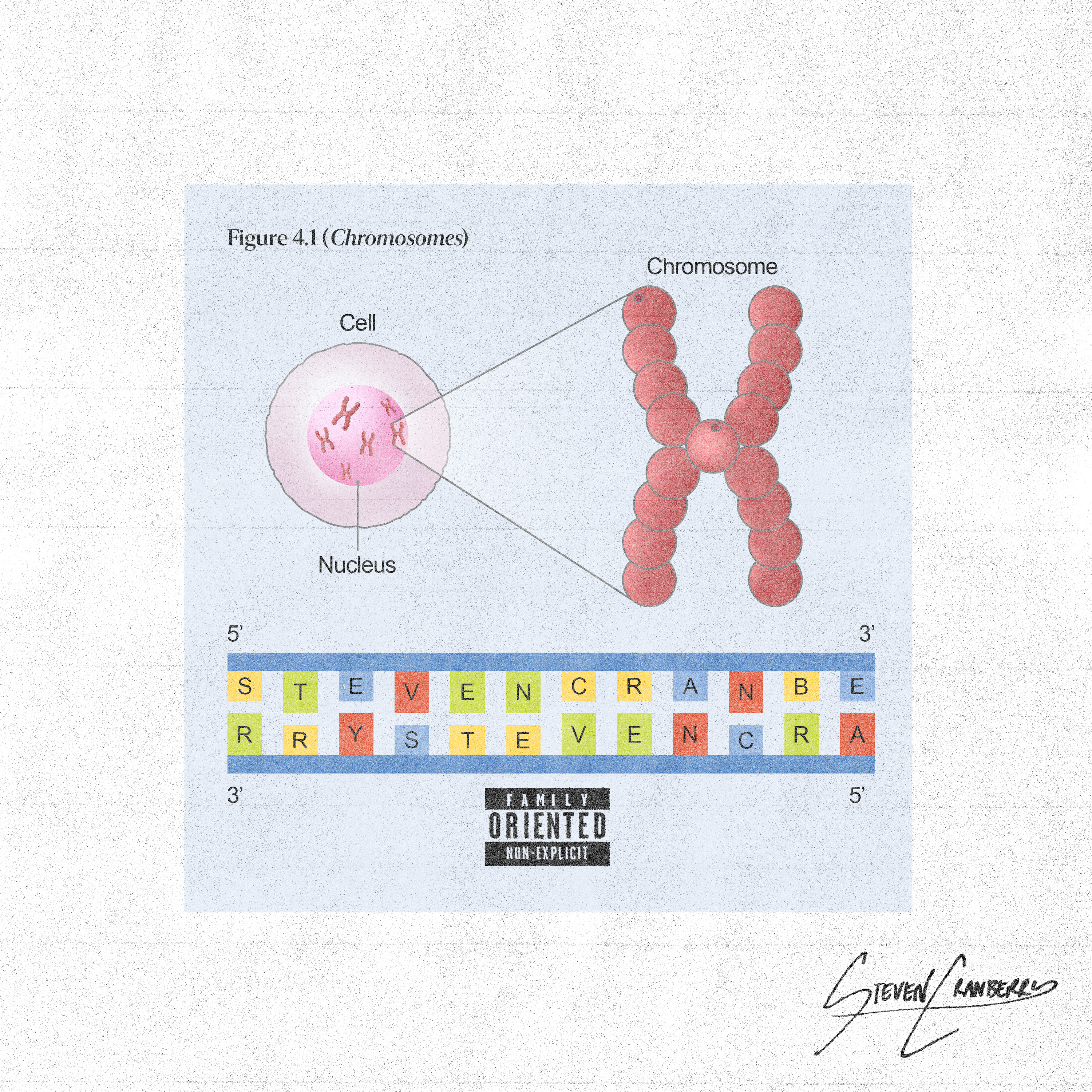 CHROMOSOMES artwork