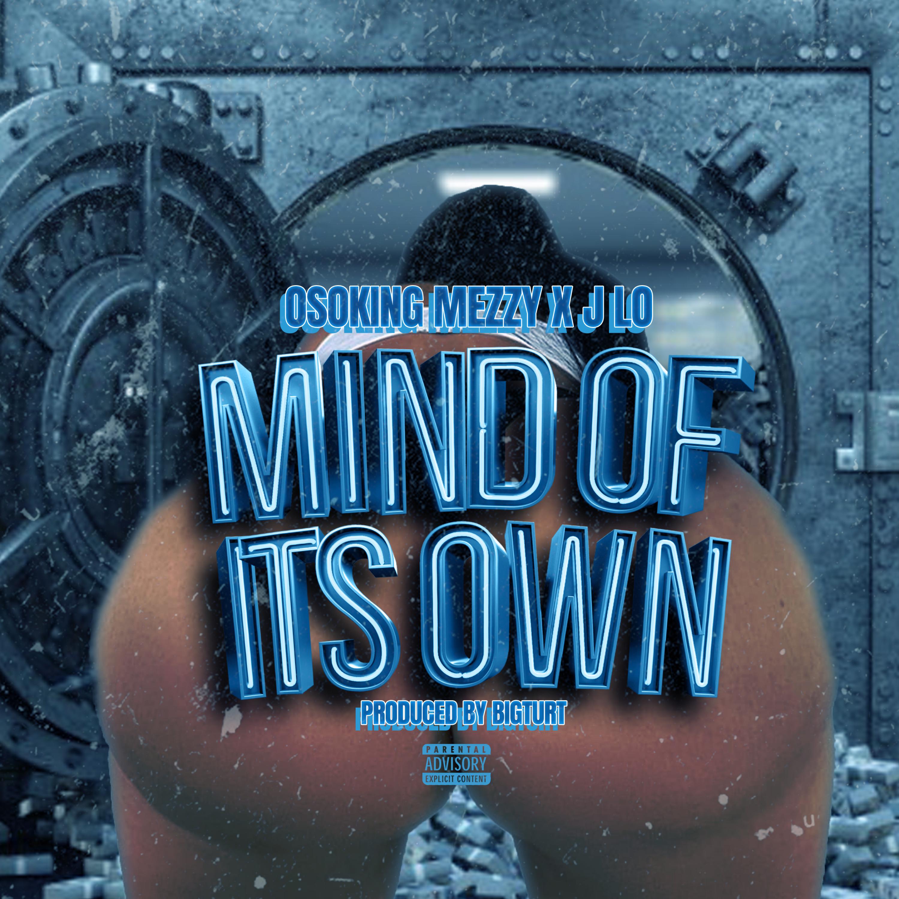 Mind Of Its Own artwork
