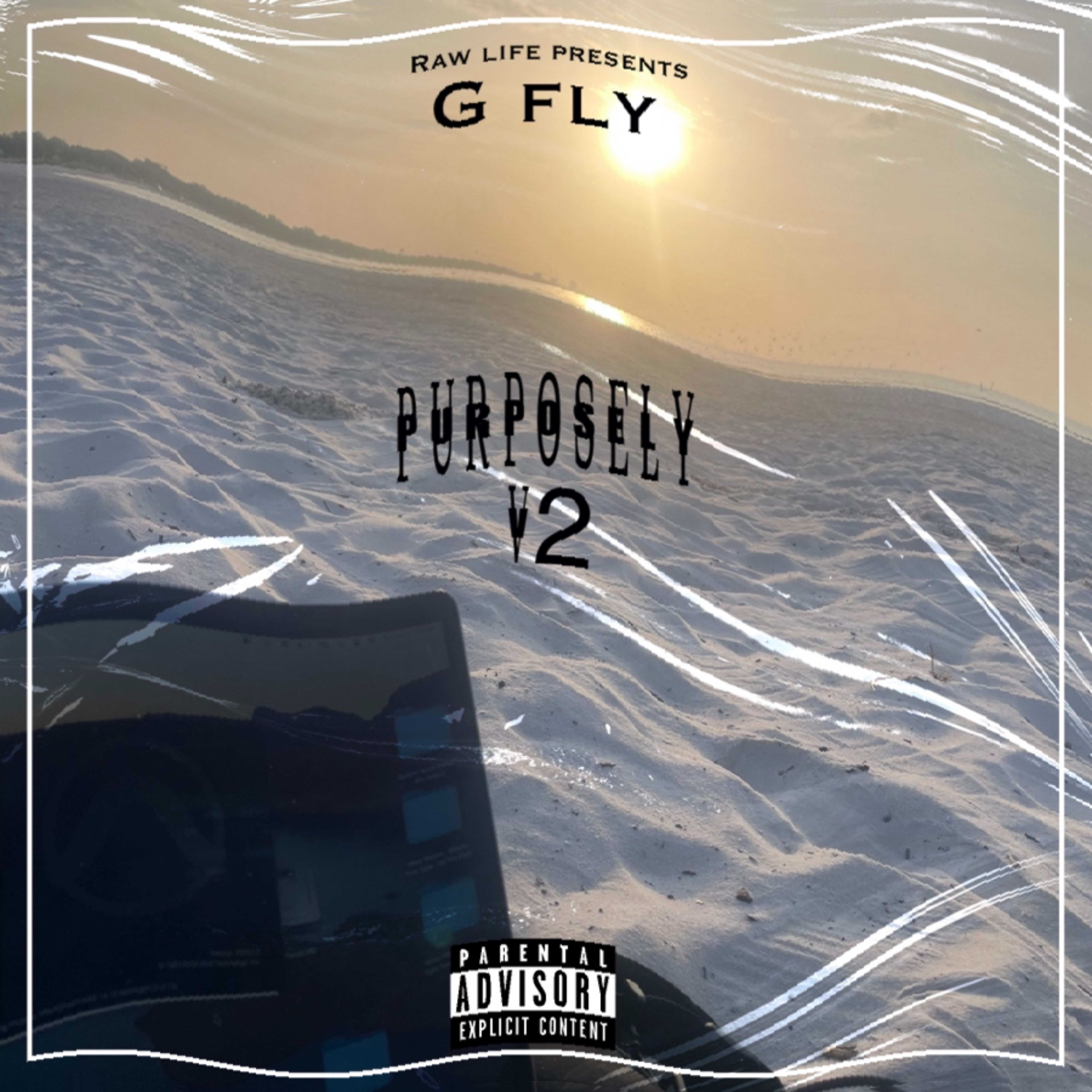 Purposely V2 artwork