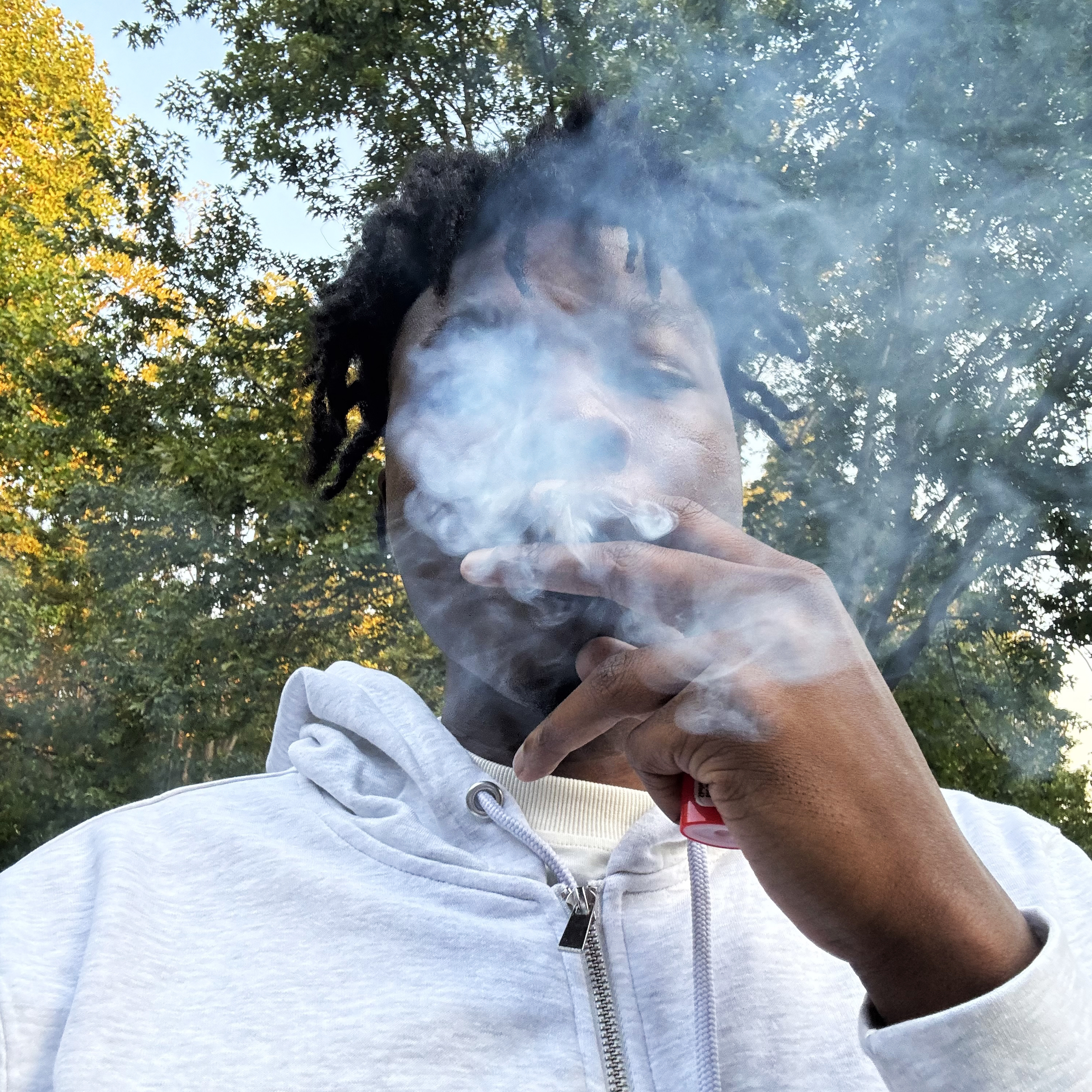 Grabba Leaf* artwork