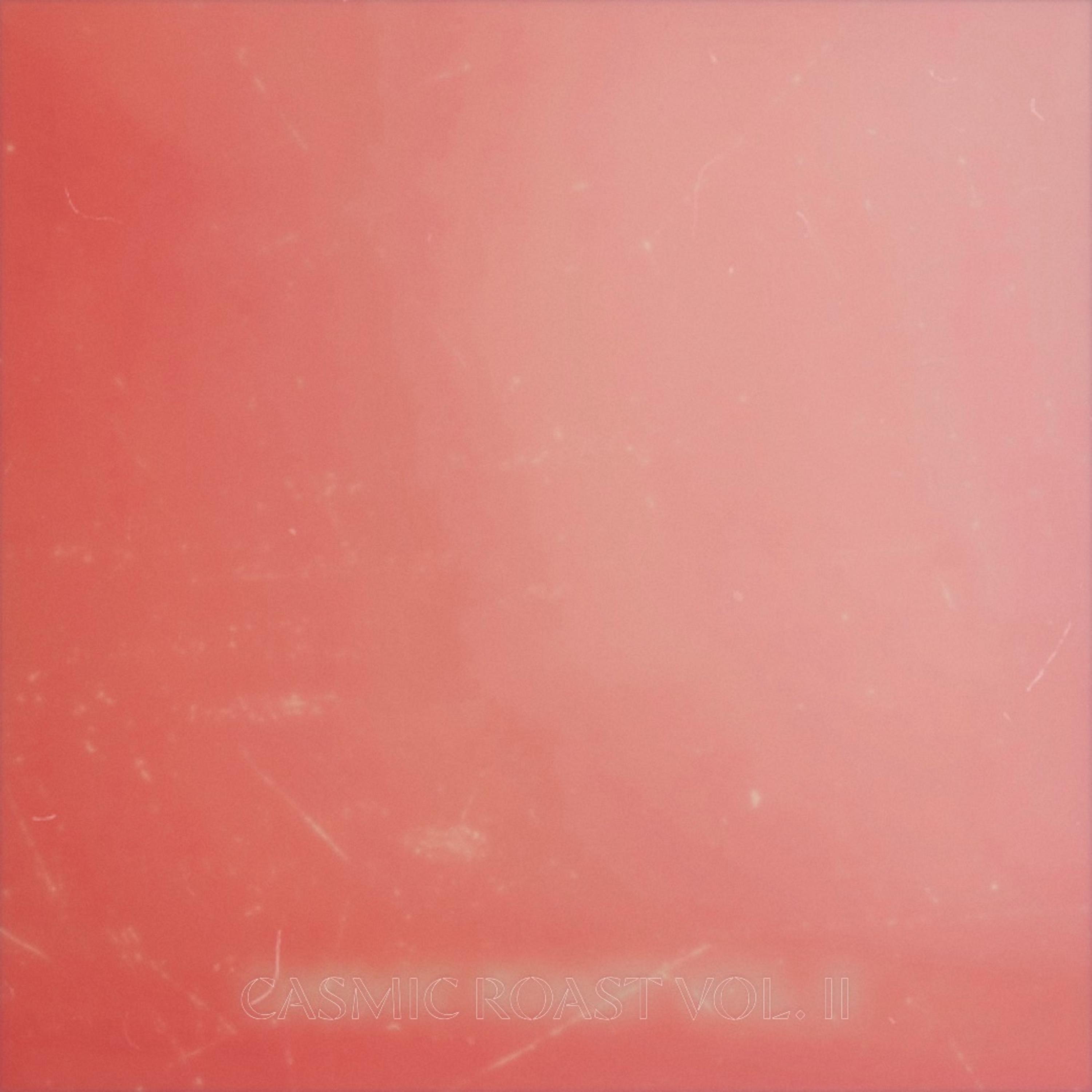 CASMIC ROAST VOL. II by Gino Jones cover art