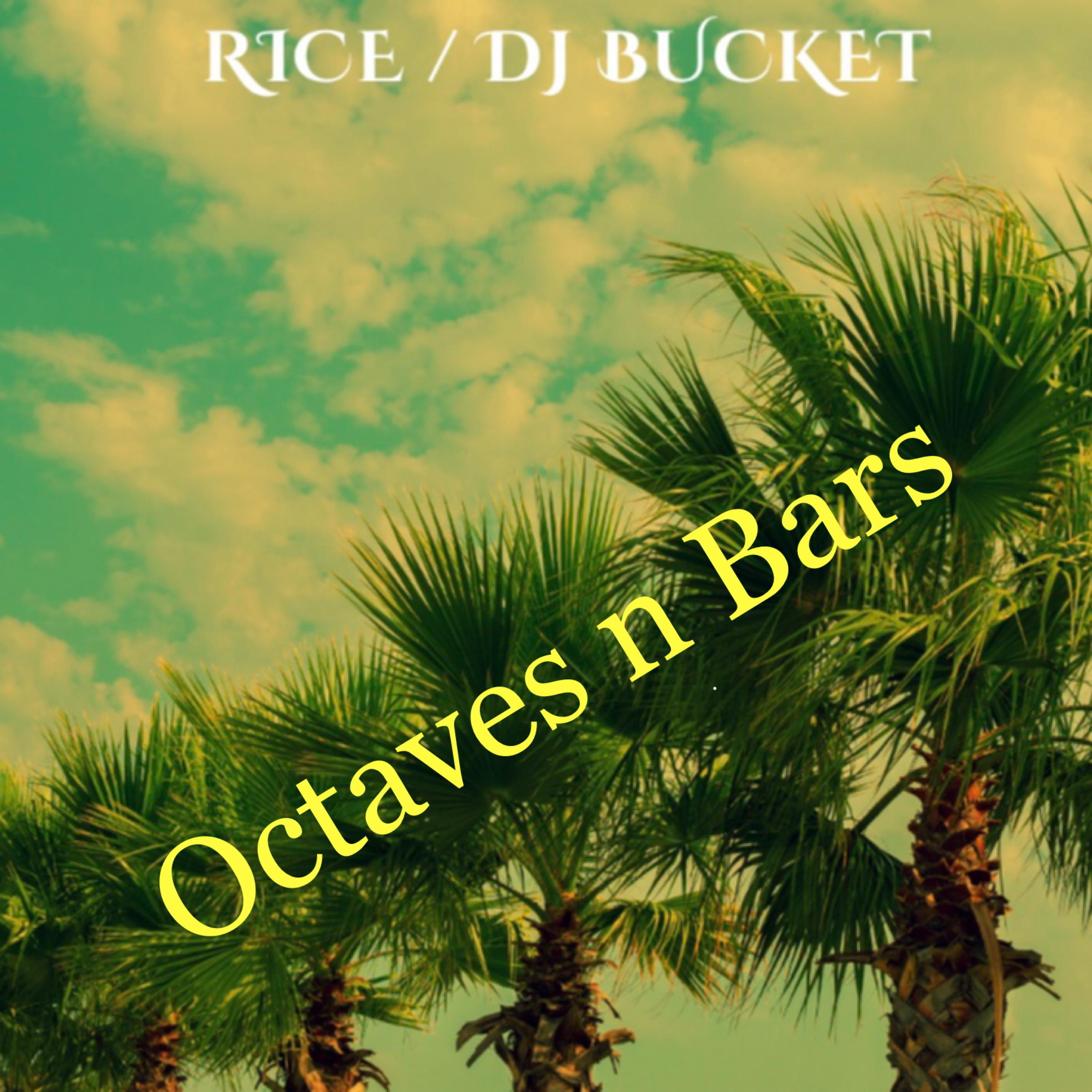 Octaves n Bars artwork