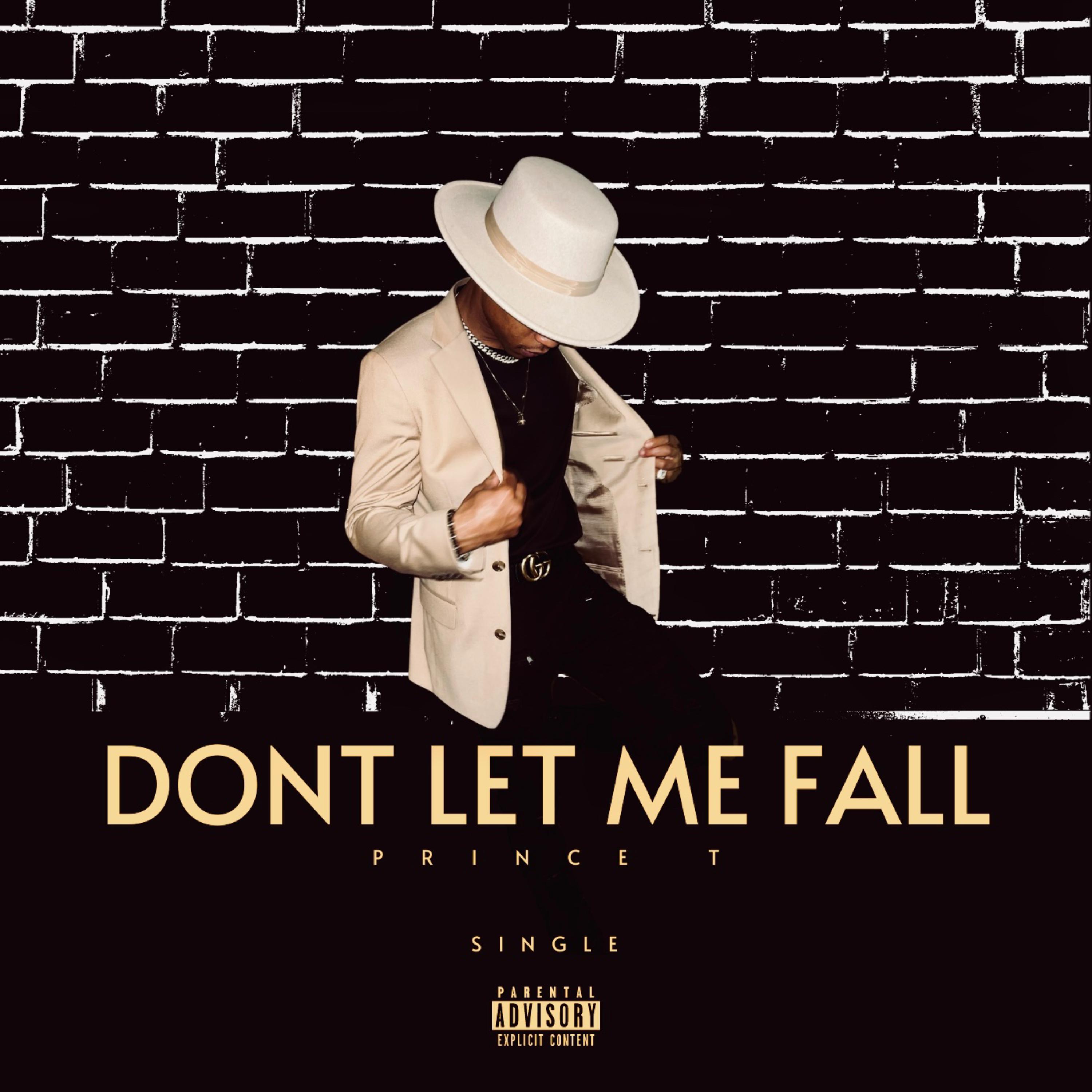 Don't Let Me Fall artwork
