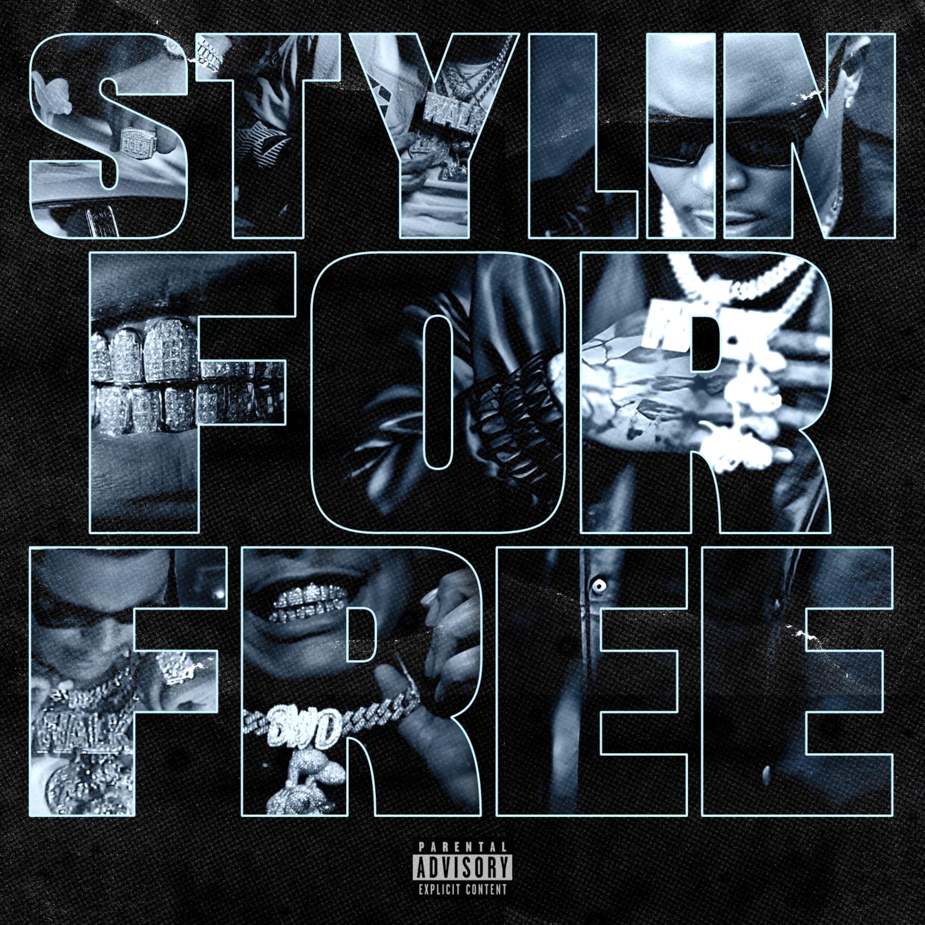 Stylin for Free artwork