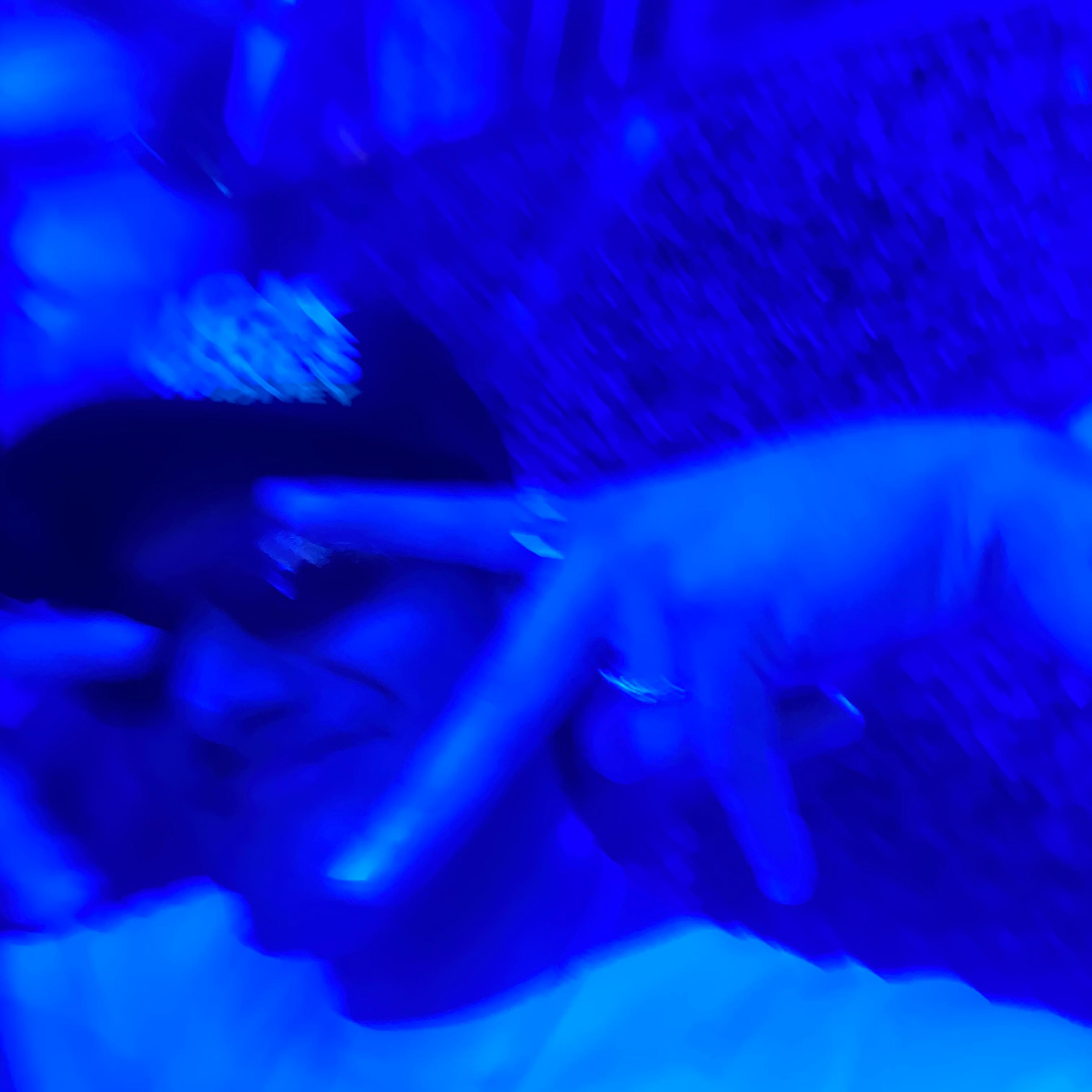 pünkboi 4Lyfe!* artwork