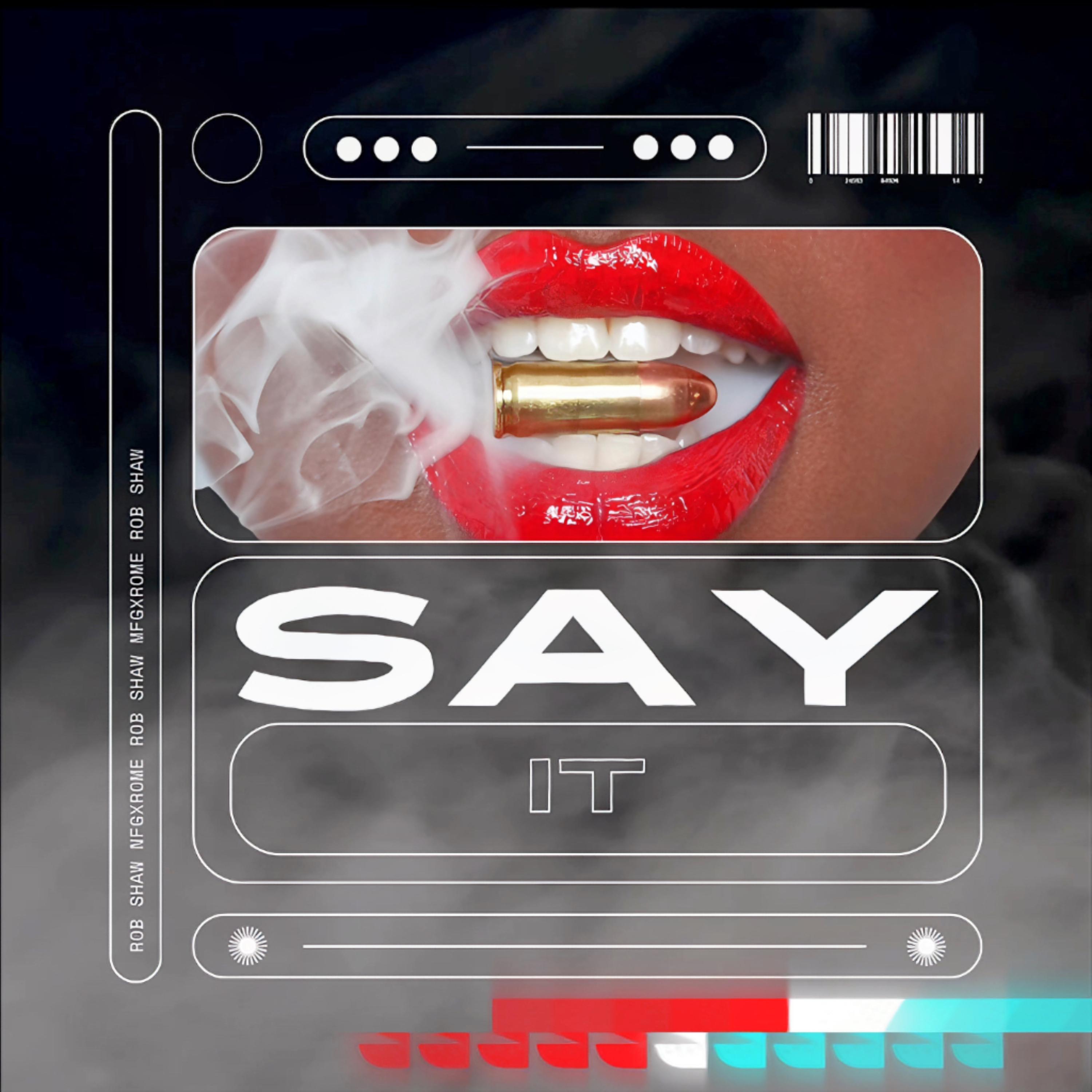 SAY IT artwork