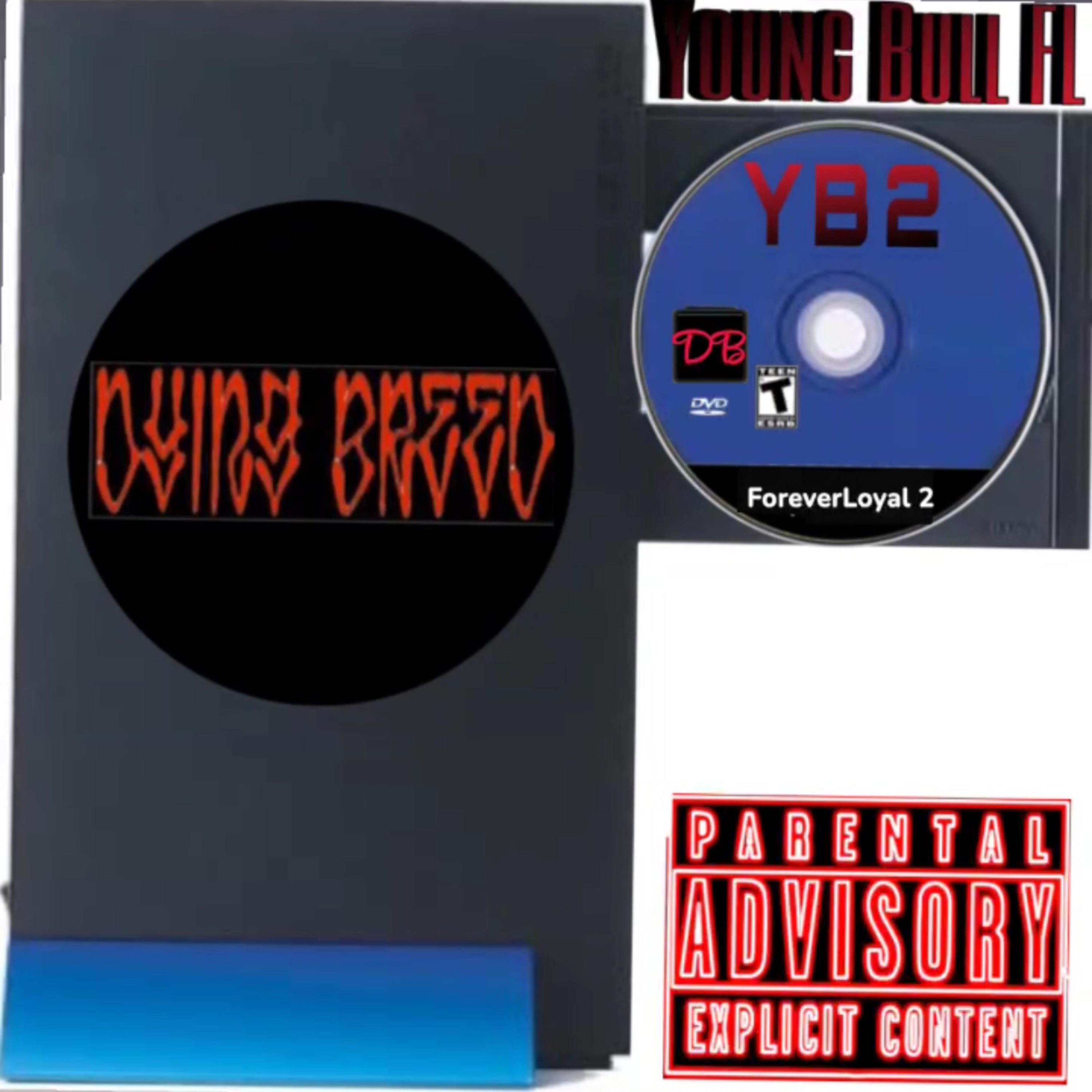 YB2 artwork