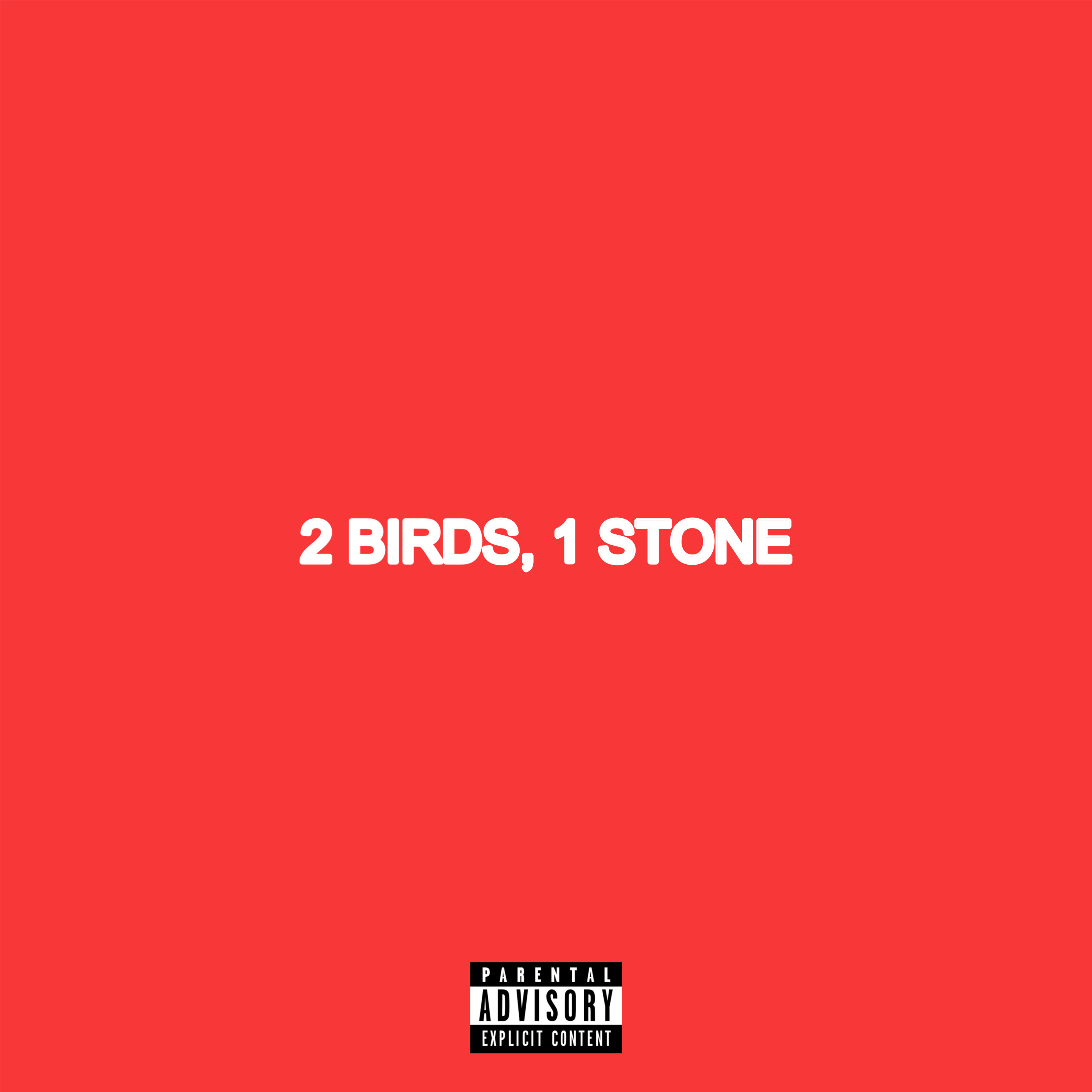 2 BIRDS, 1 STONE artwork