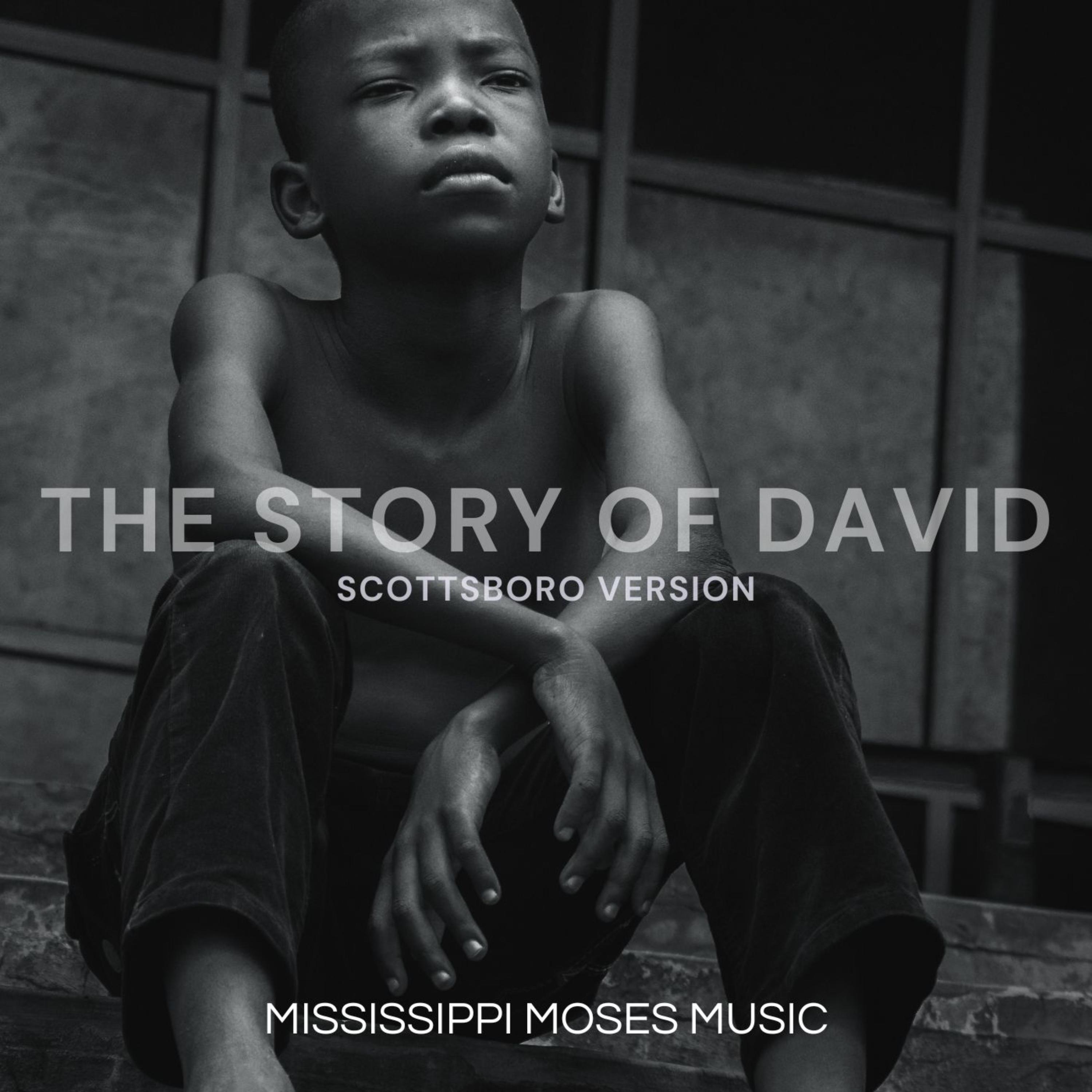 The Story of David: Scottsboro Version artwork