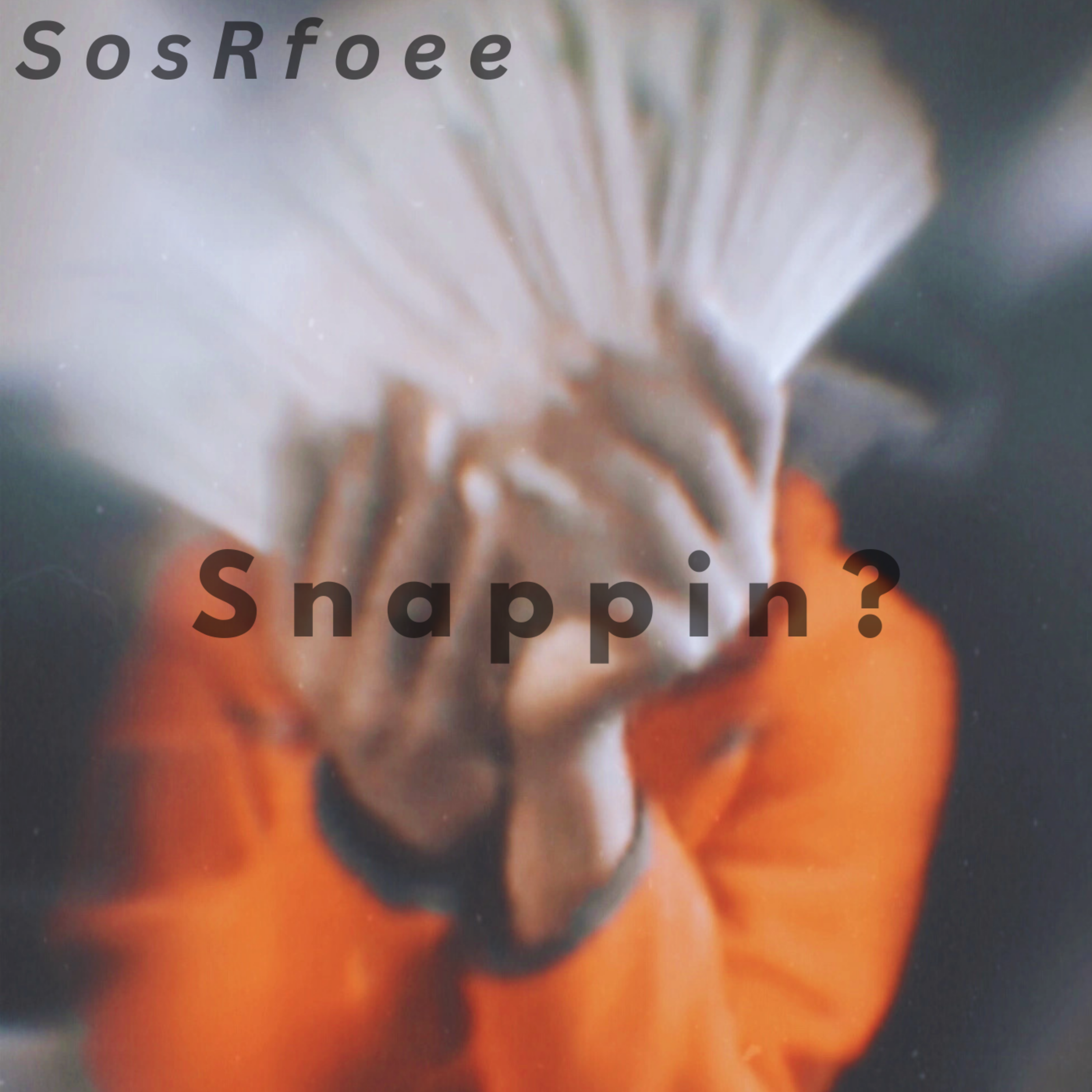 Snappin? artwork