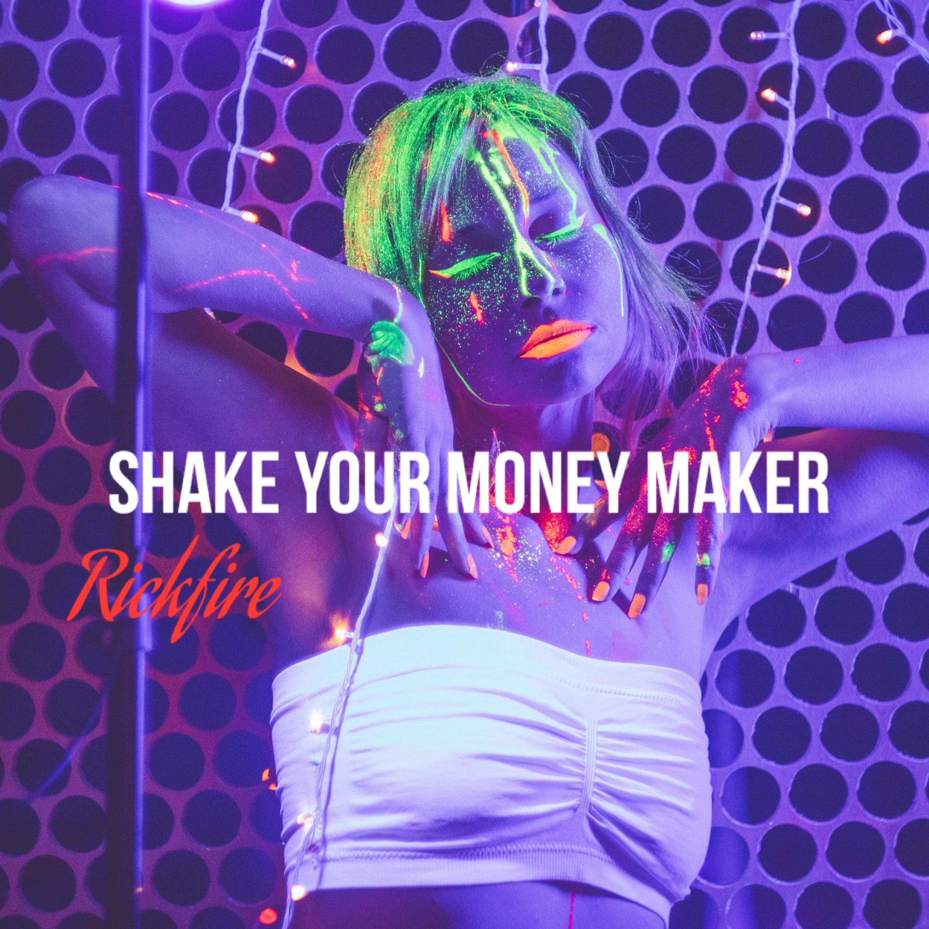 Shake Your Money Maker artwork