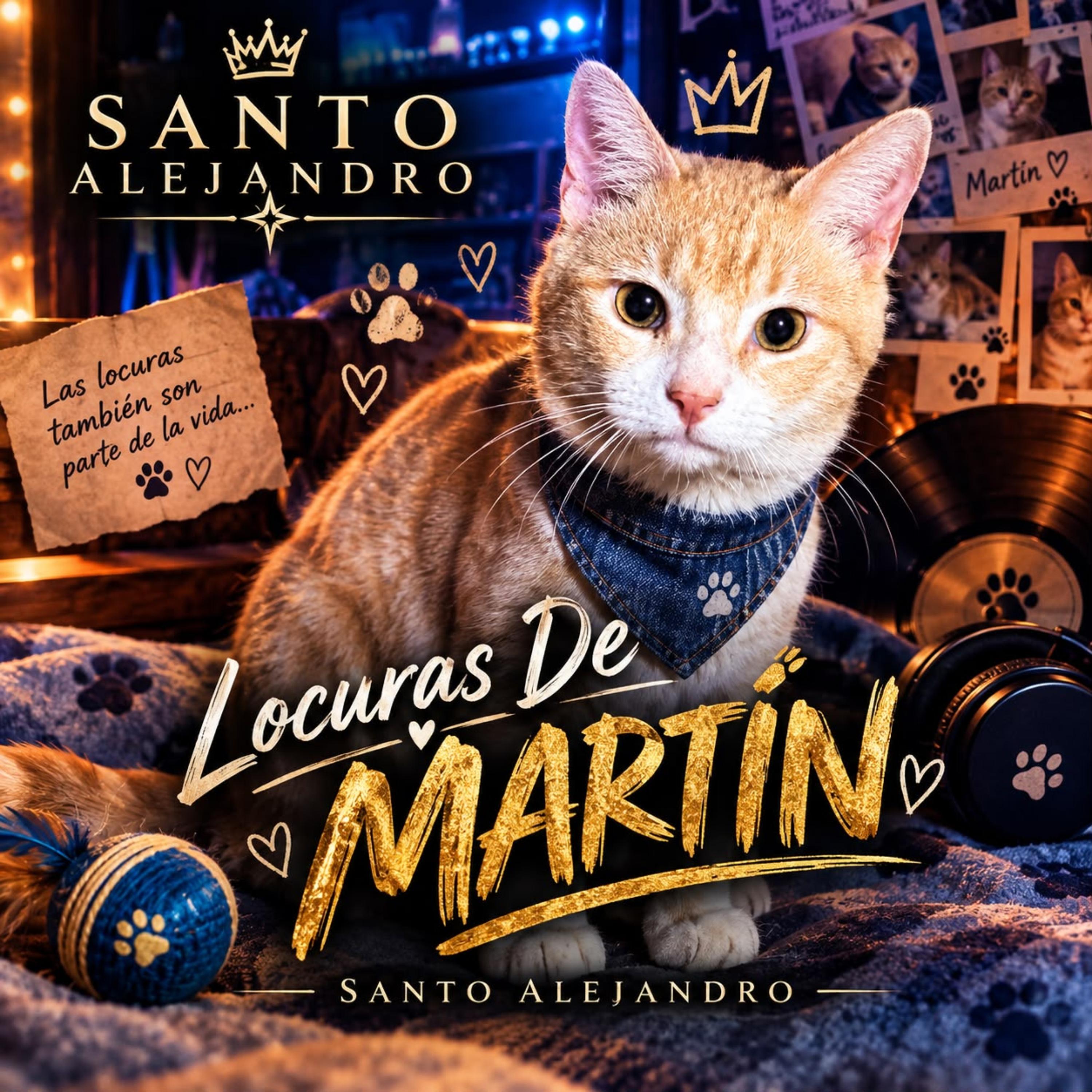 Locuras De Martín (Smarty) by Santo Alejandro cover art