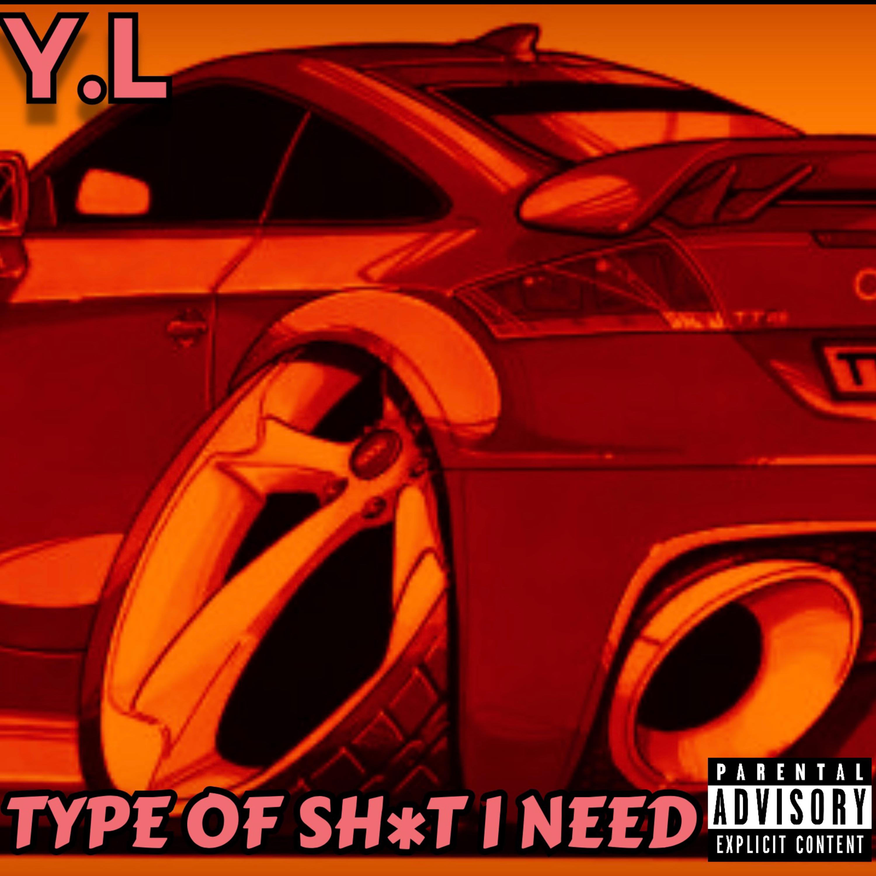 TYPE OF SH*T I NEED artwork