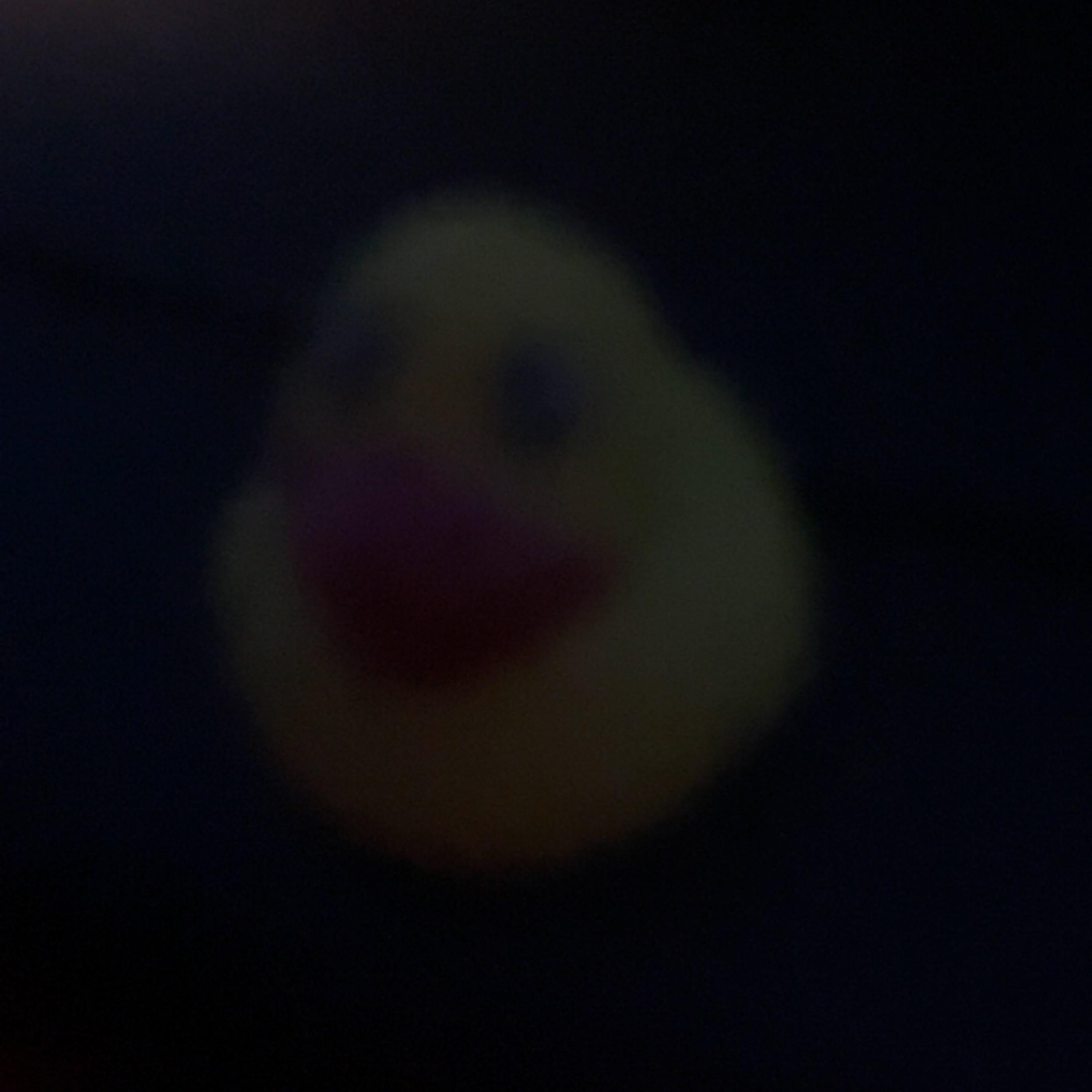 Feeling Ducky artwork