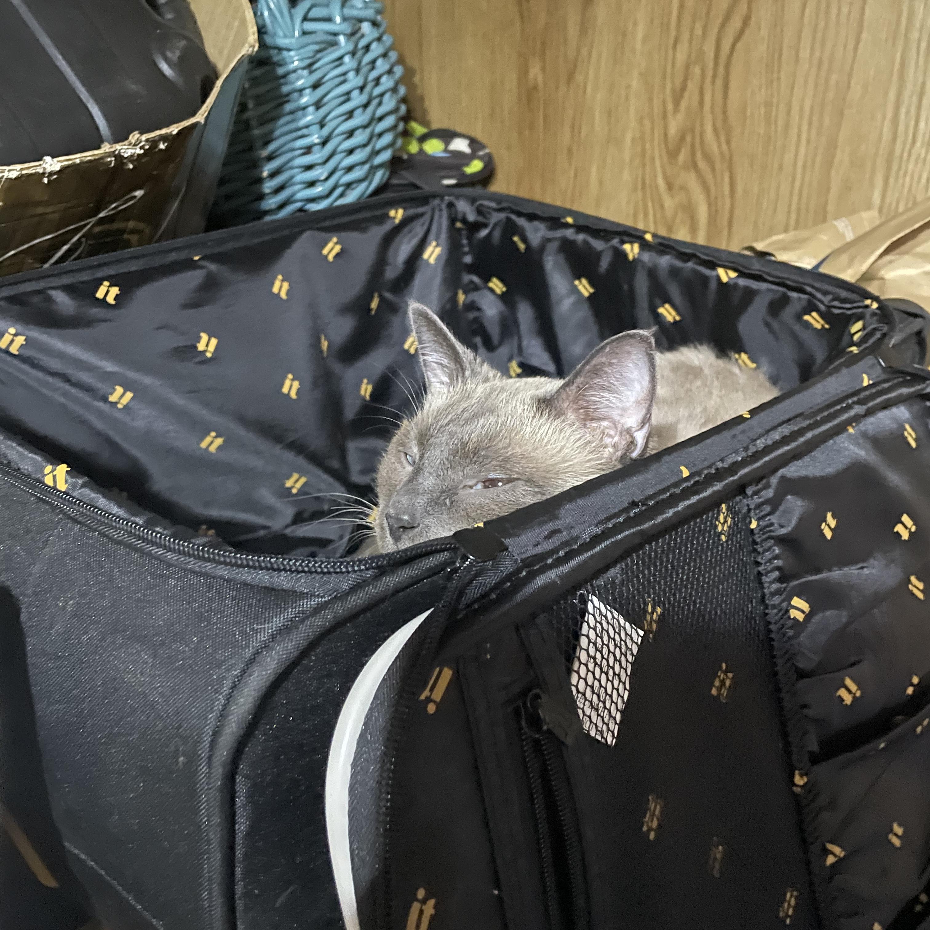 My Everything artwork